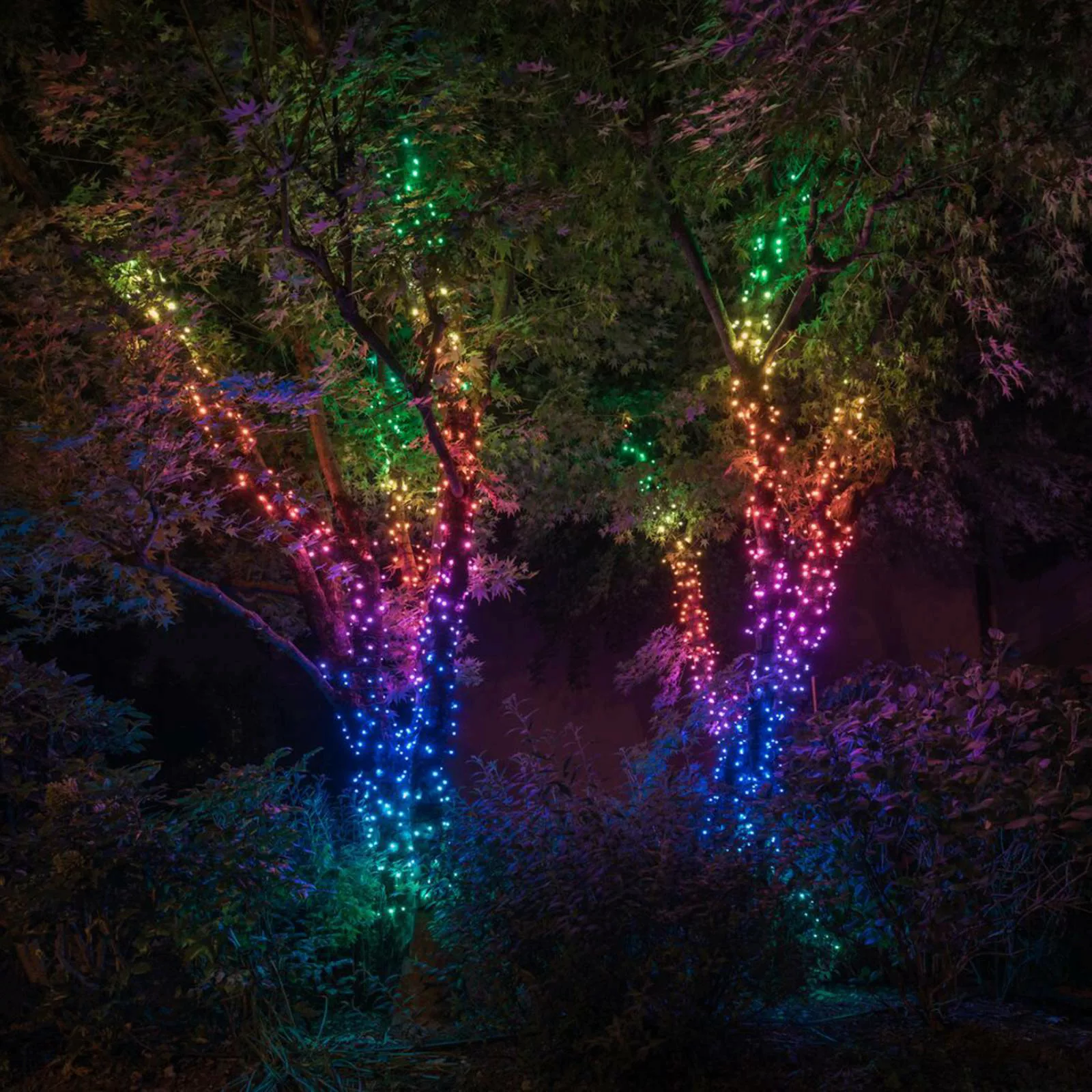 Lichterkette Twinkly RGB, schwarz, 250-flammig 20m günstig online kaufen