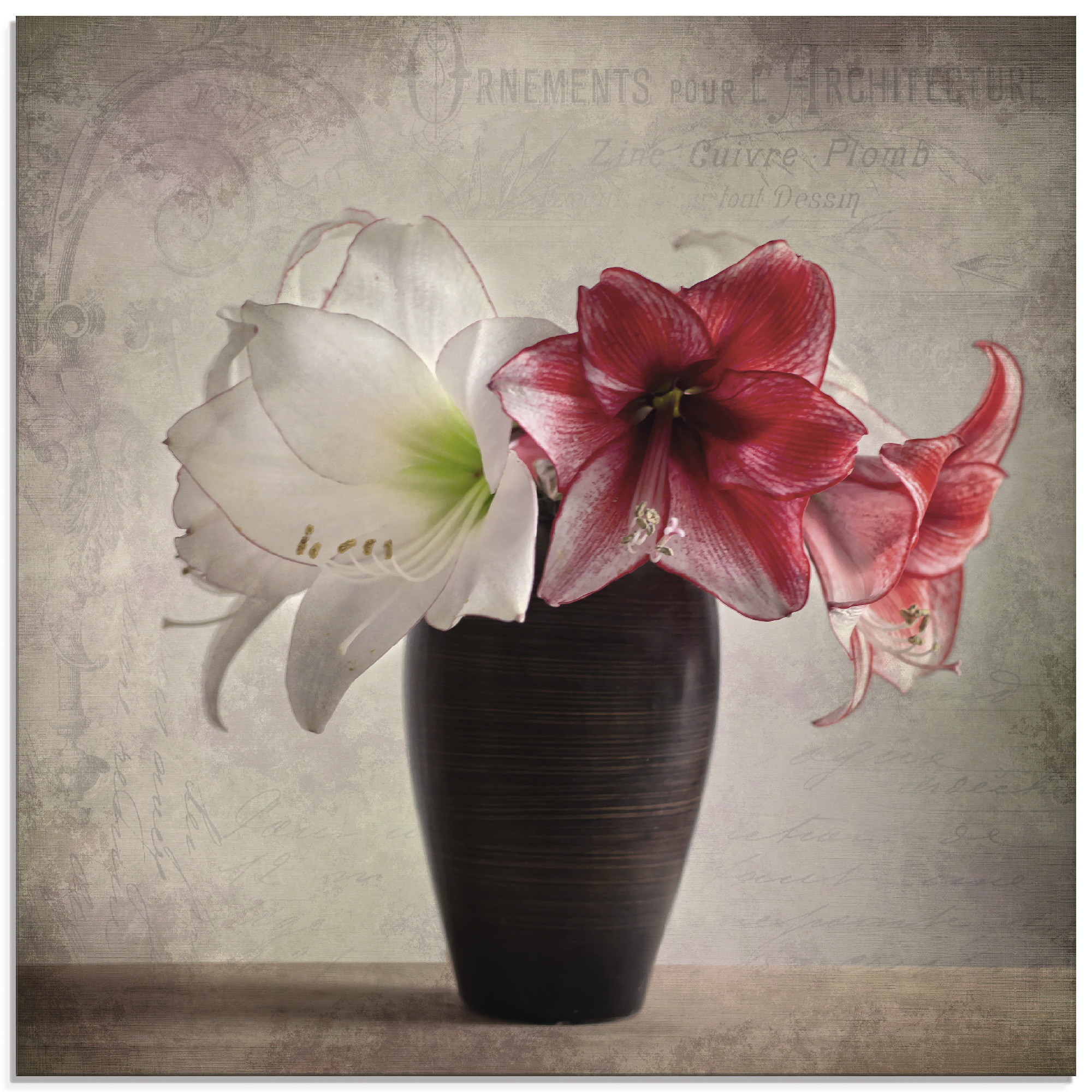 Artland Glasbild »Amaryllis Vintage I«, Blumen, (1 St.), in verschiedenen G günstig online kaufen