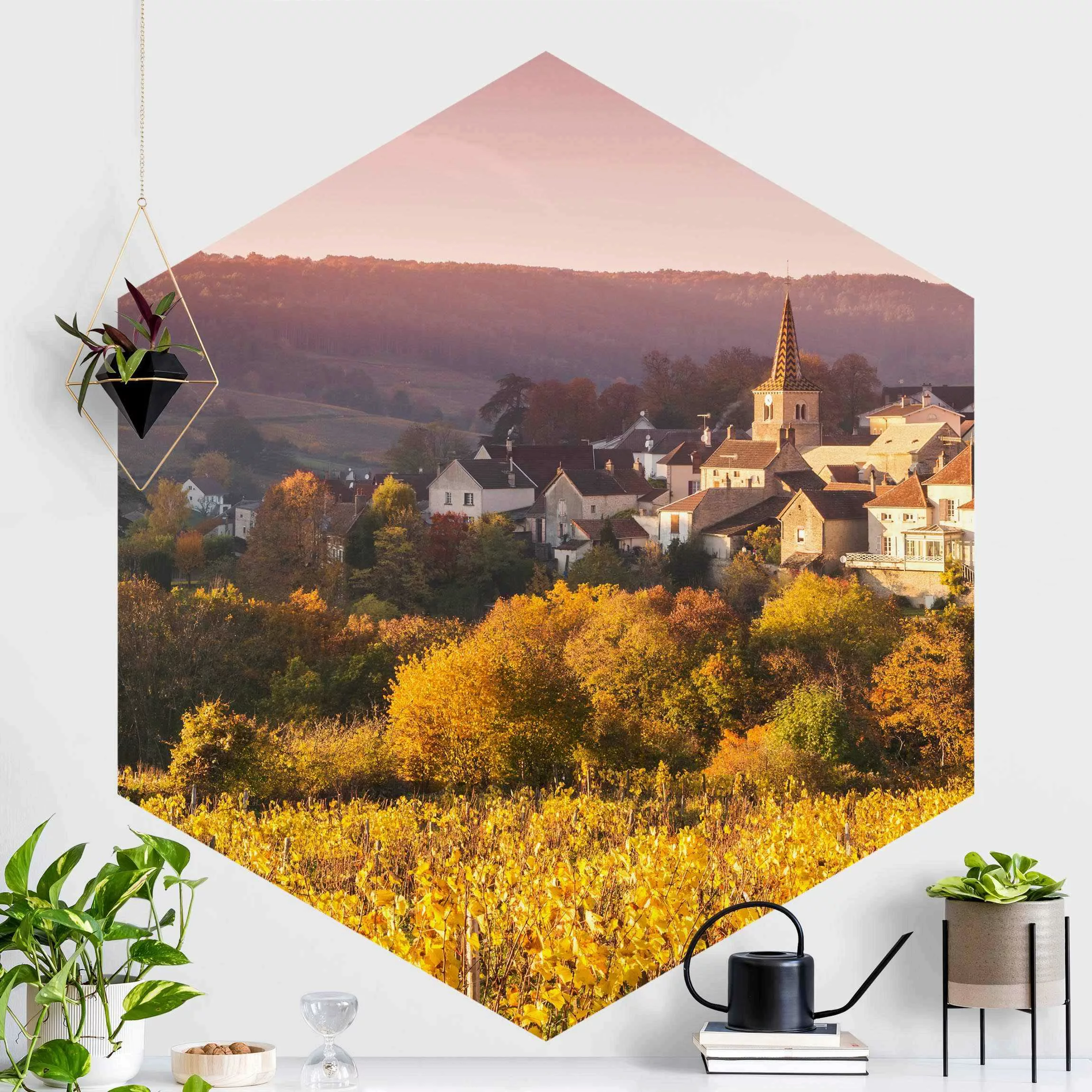 Hexagon Fototapete selbstklebend Weinberge in Frankreich günstig online kaufen