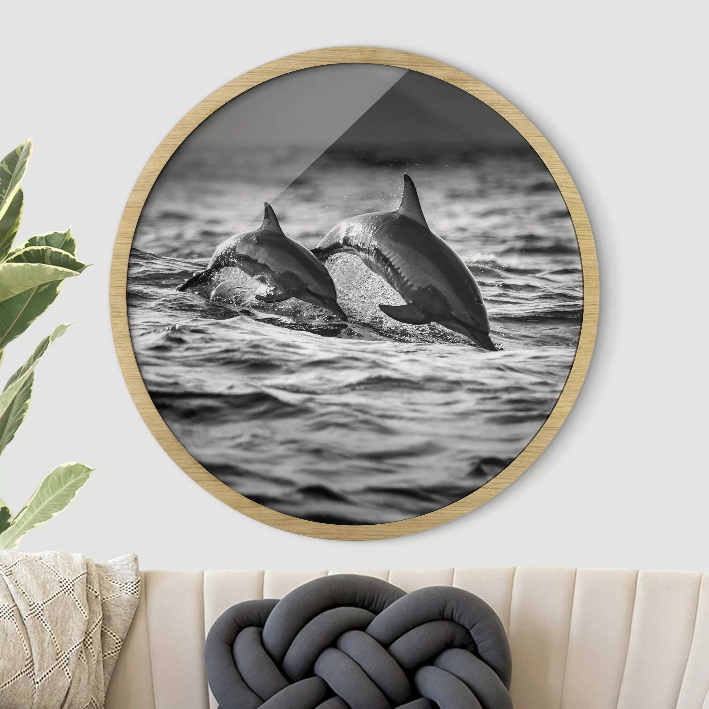 Rundes Gerahmtes Bild Zwei springende Delfine günstig online kaufen