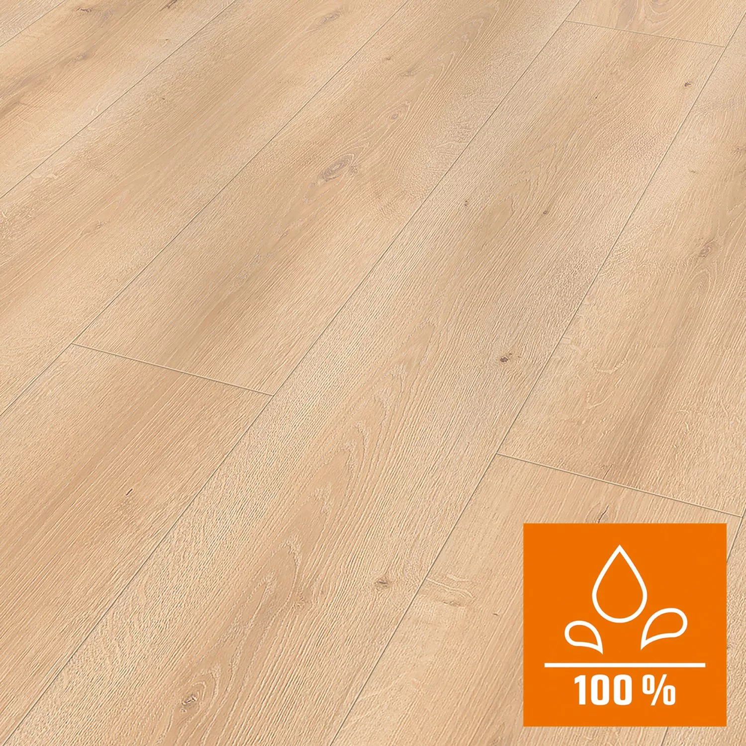 Classen Laminatboden Oak Creme Natural NKL 32 günstig online kaufen