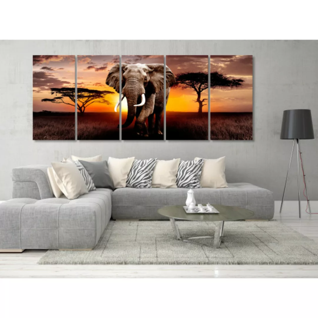 Bild auf Leinwand African Elephant XXL günstig online kaufen