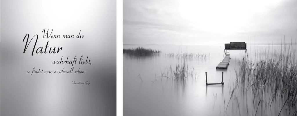 queence Leinwandbild "Natur überall", Gräser-Steg-Seebilder-Seelandschaft-M günstig online kaufen