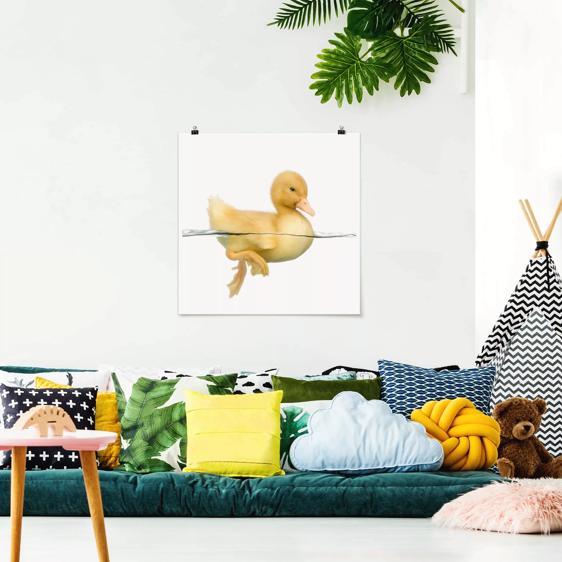 Poster Tiere - Quadrat Entlein II günstig online kaufen