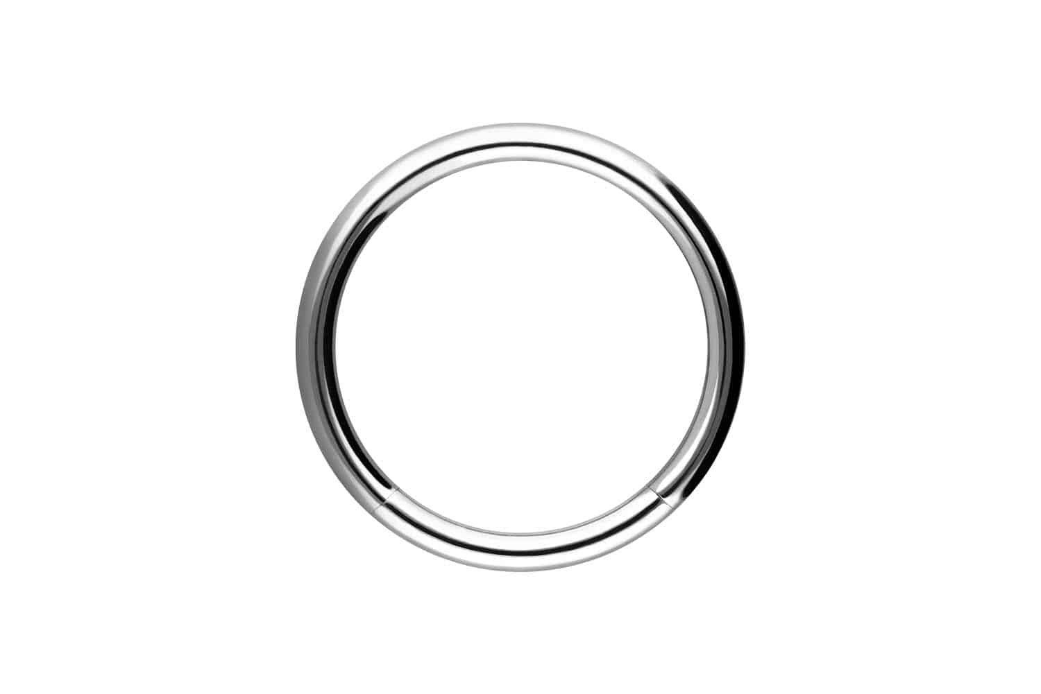 PIERCINGLINE Nasenpiercing Chirurgenstahl Segmentring (Klemm-Ringe / günstig online kaufen