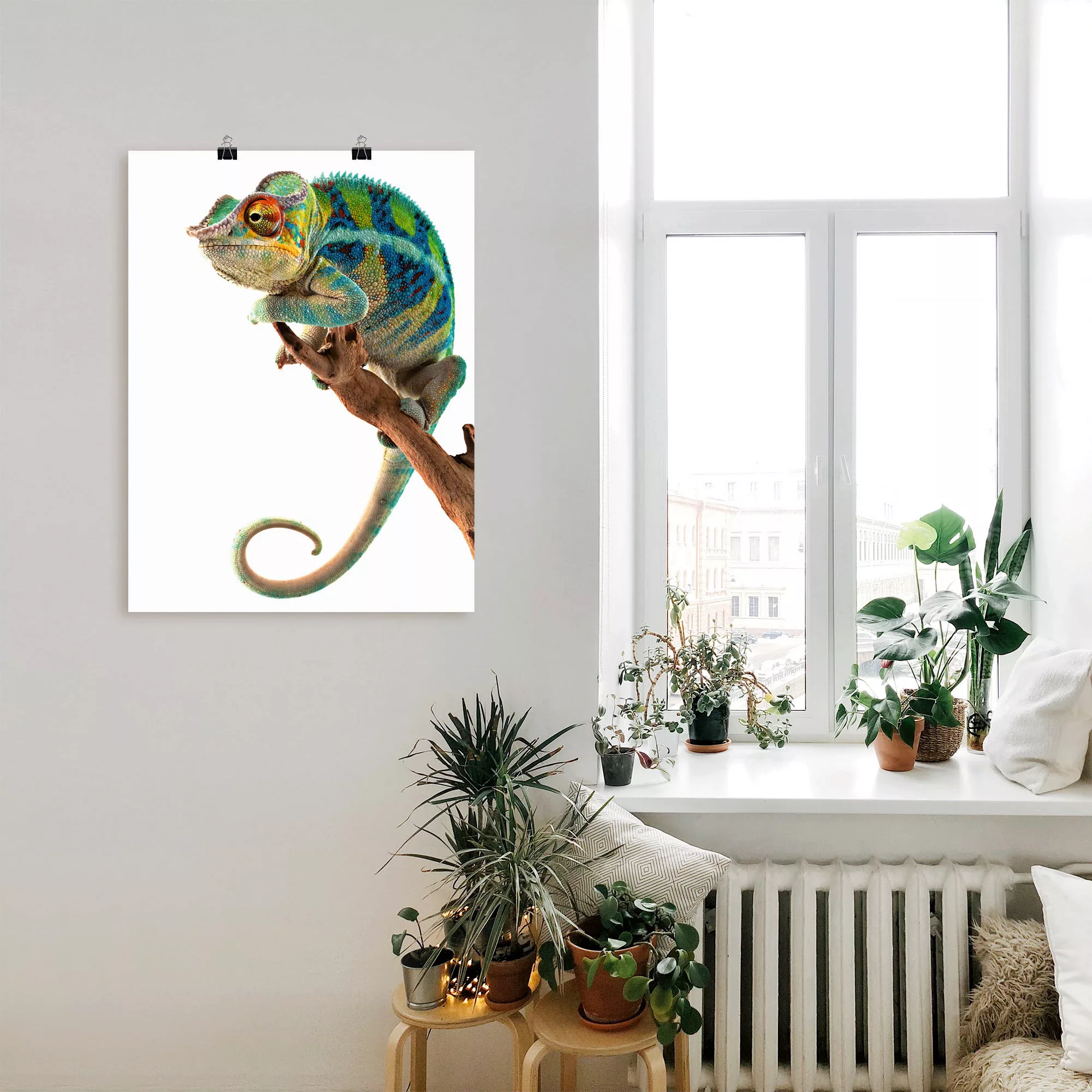 Artland Wandbild "Ambanja Panther Chamäleon", Reptilien, (1 St.), als Leinw günstig online kaufen