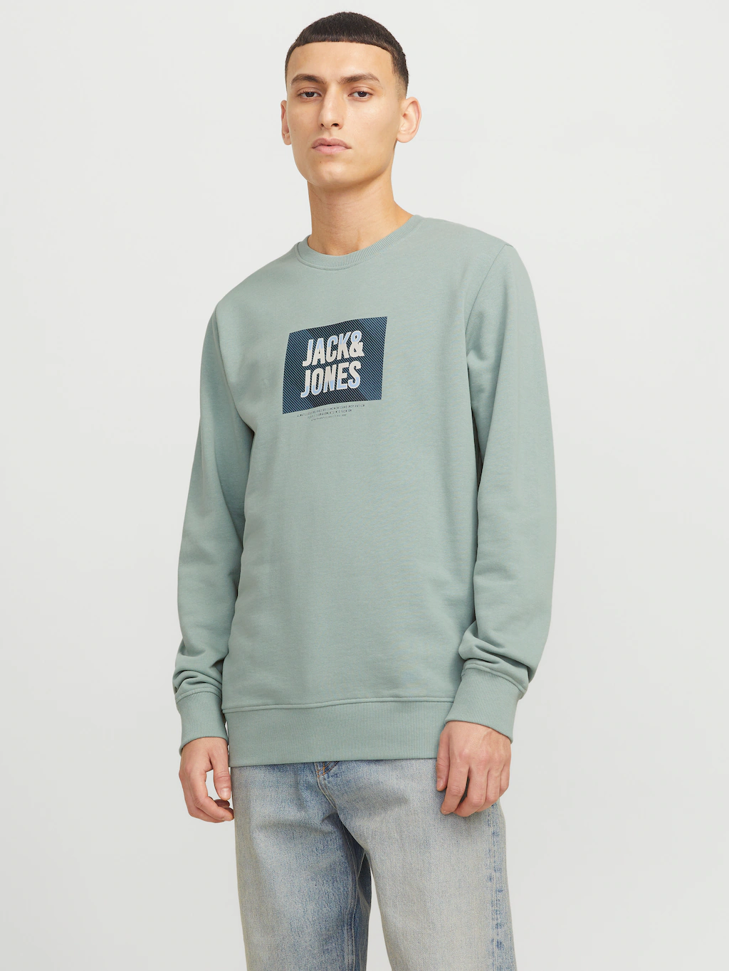 Jack & Jones Sweatshirt "JJHUDSON SWEAT CREW NECK" günstig online kaufen