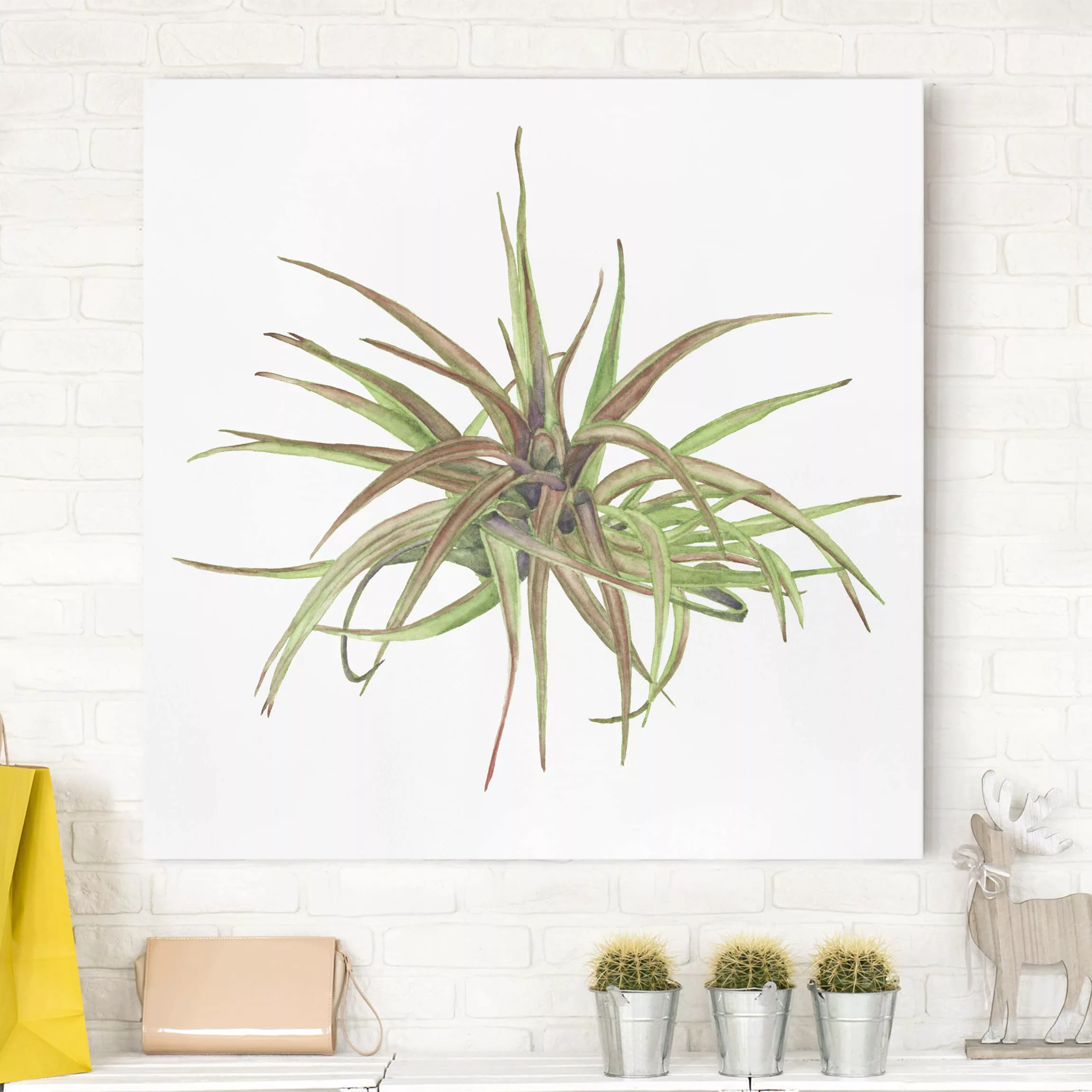 Leinwandbild Botanik - Quadrat Luftpflanze Aquarell II günstig online kaufen