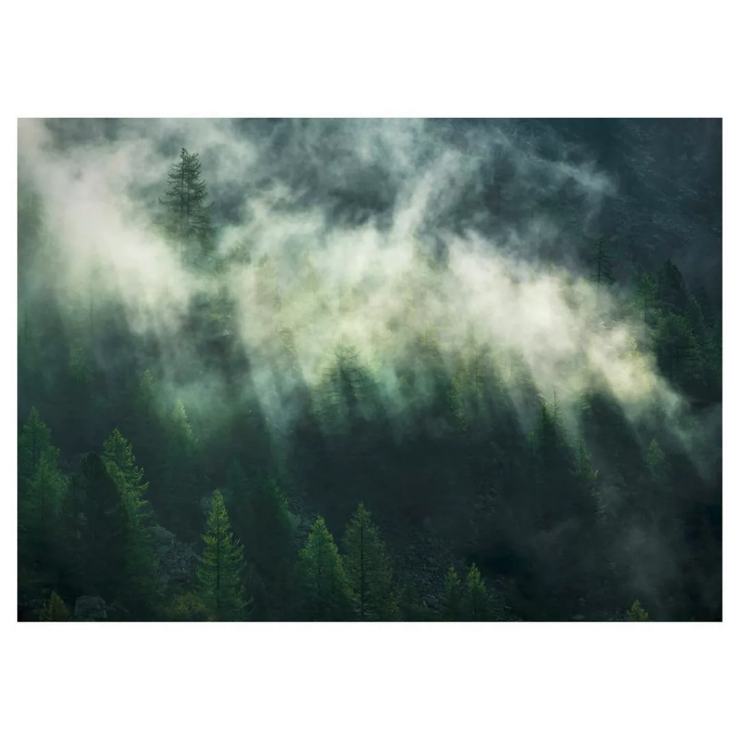 KOMAR Vlies Fototapete - Misty Crowns  - Größe 350 x 250 cm mehrfarbig günstig online kaufen