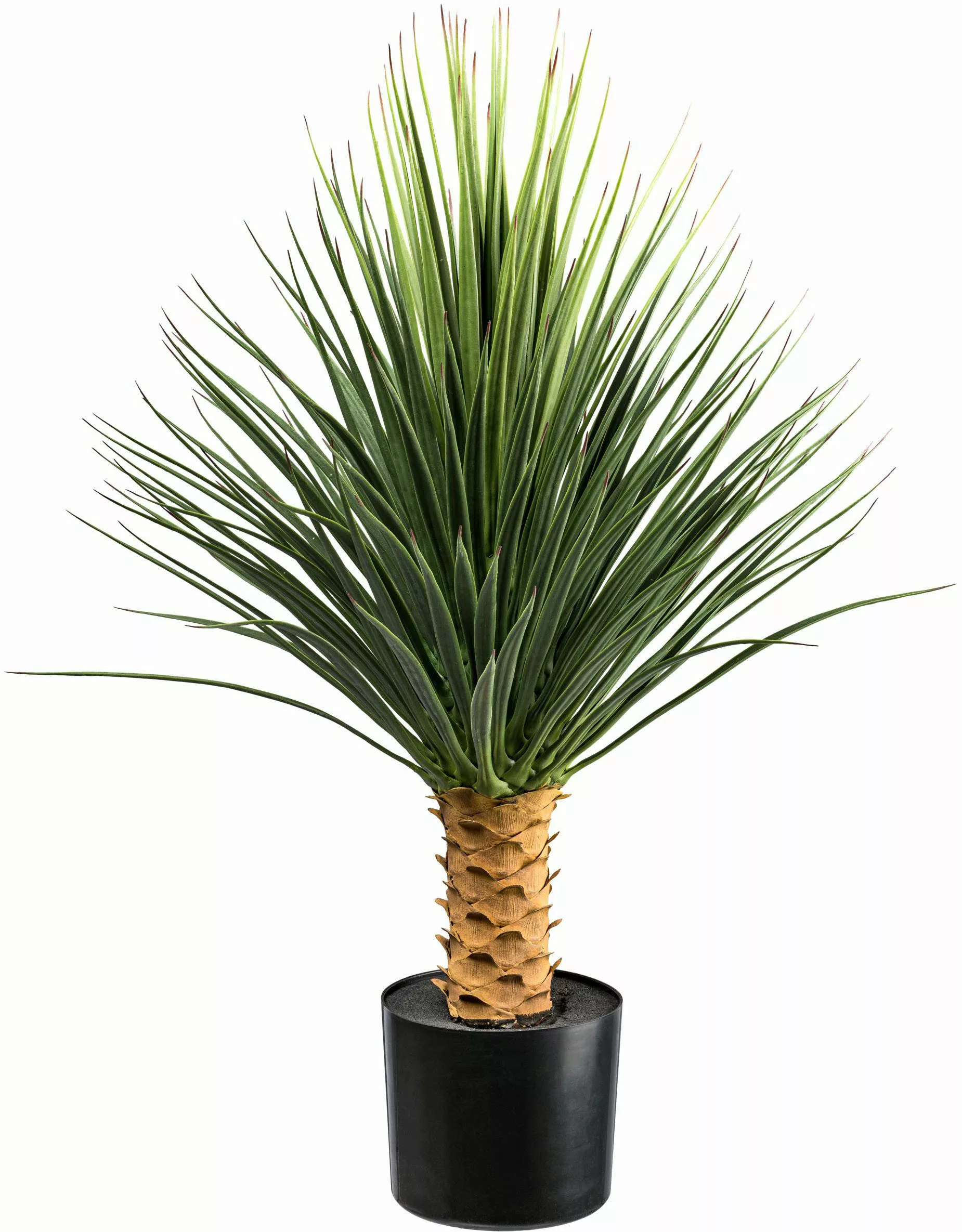 Kunstpflanze Yucca Rostrata auf Stamm Yucca, günstig online kaufen
