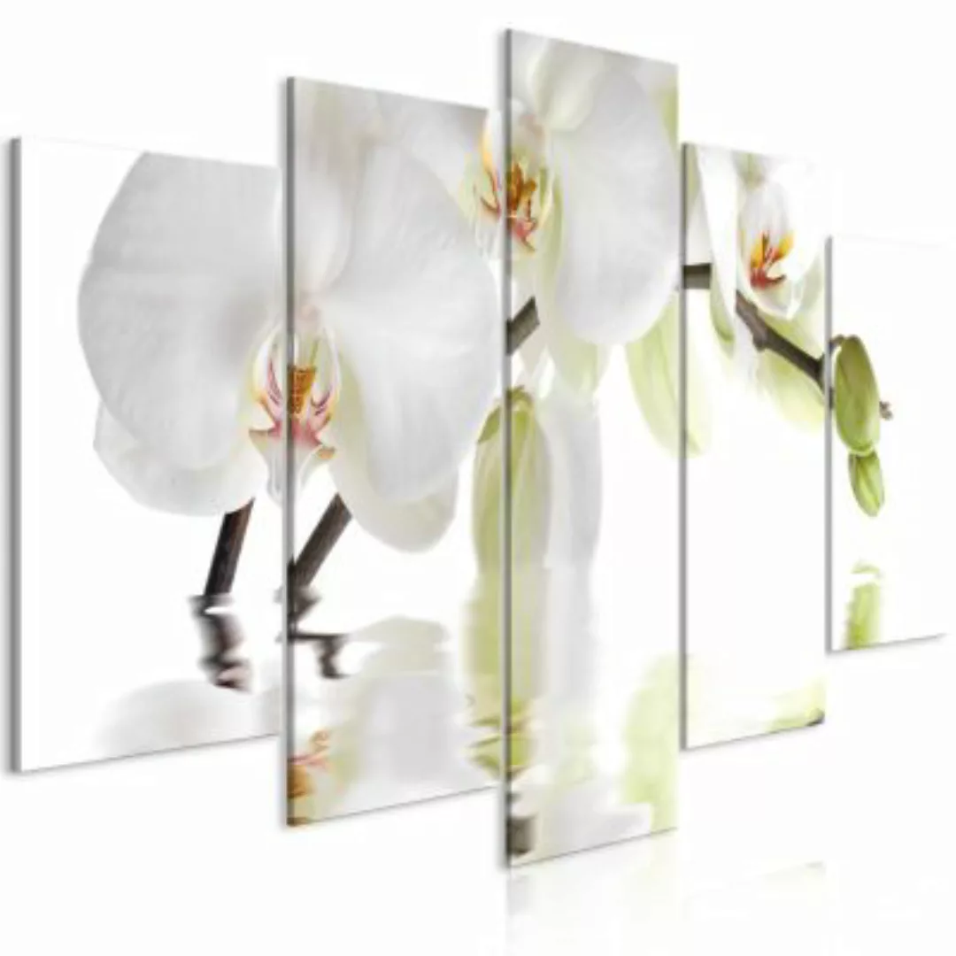 artgeist Wandbild Wonderful Orchid (5 Parts) Wide mehrfarbig Gr. 200 x 100 günstig online kaufen