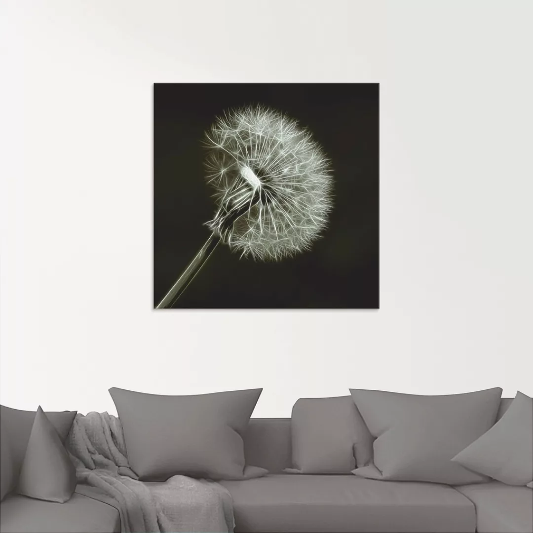 Artland Glasbild "Pusteblume", Blumen, (1 St.), in verschiedenen Größen günstig online kaufen