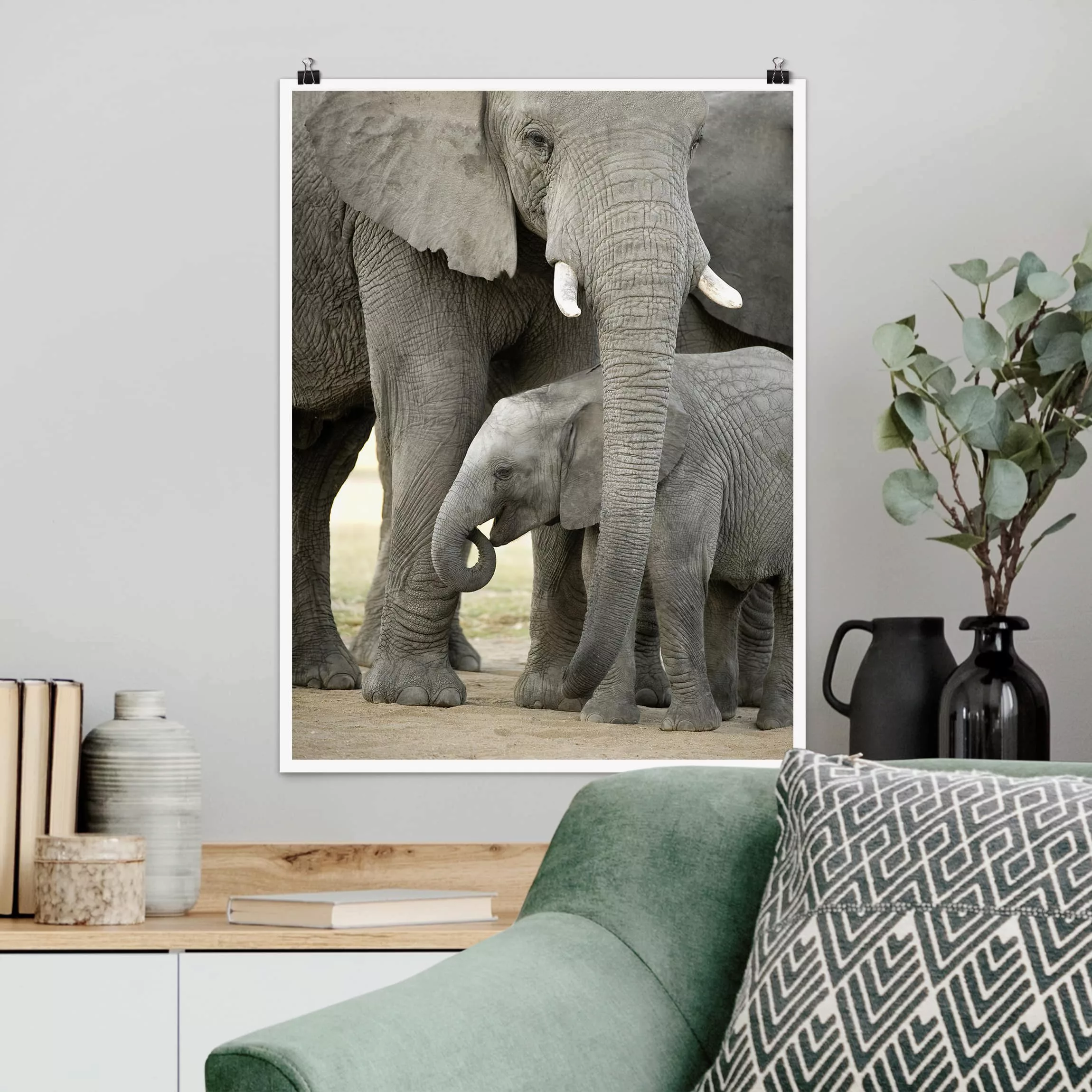 Poster Tiere - Hochformat Elefantenliebe günstig online kaufen