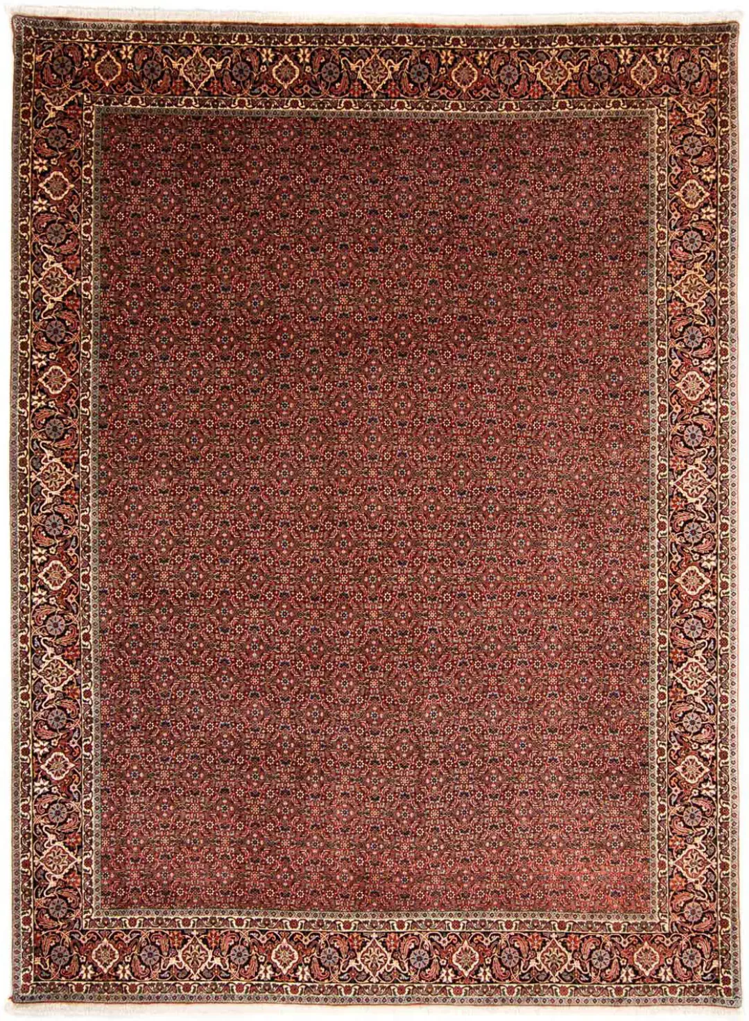 morgenland Orientteppich »Perser - Bidjar - 340 x 254 cm - dunkelrot«, rech günstig online kaufen