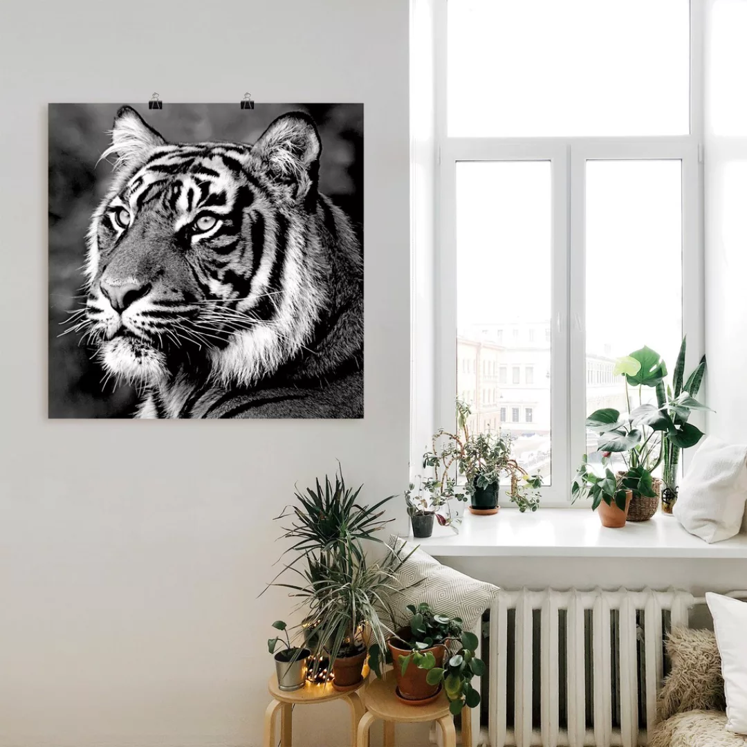 Artland Wandbild »Tiger«, Wildtiere, (1 St.) günstig online kaufen