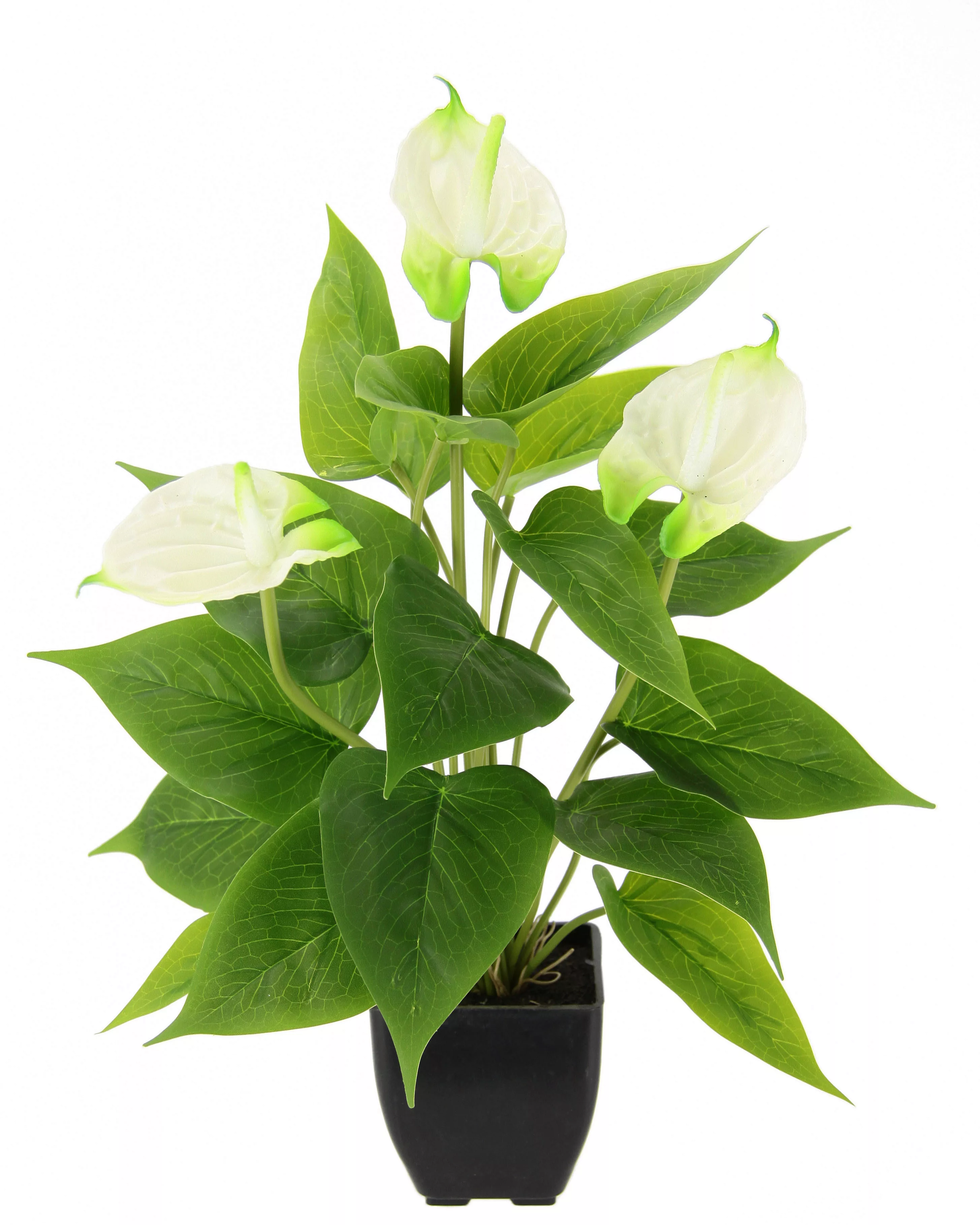 I.GE.A. Kunstblume "Anthuriumpflanze", Anthurien Pflanze im Topf Anthurieex günstig online kaufen