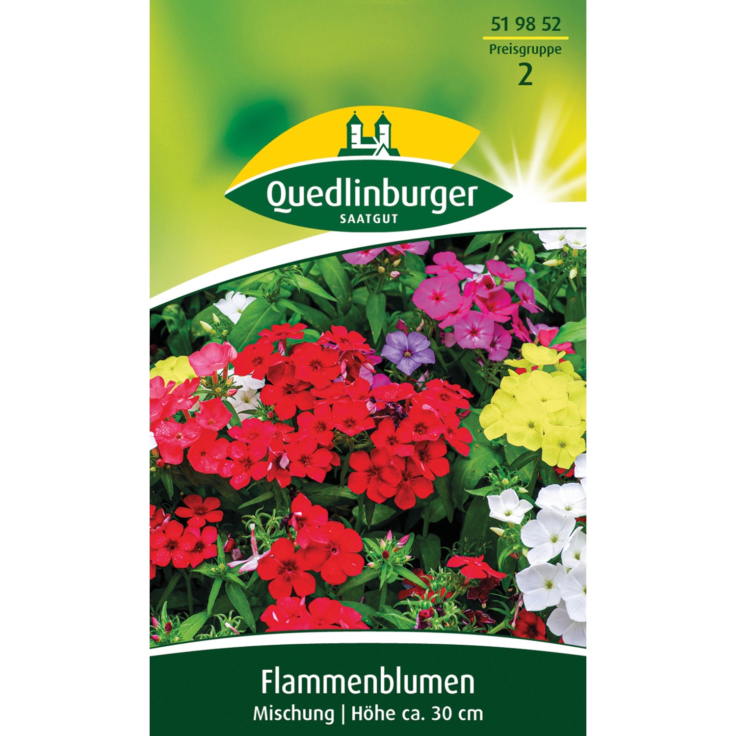 Quedlinburger Flammenblume Sommerphlox ''Mischung'' günstig online kaufen
