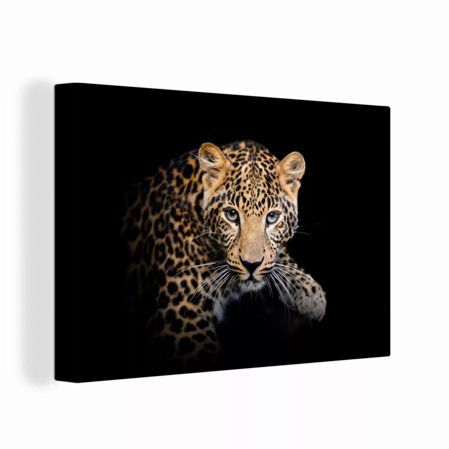 OneMillionCanvasses® Leinwandbild Panther - Schwarz - günstig online kaufen