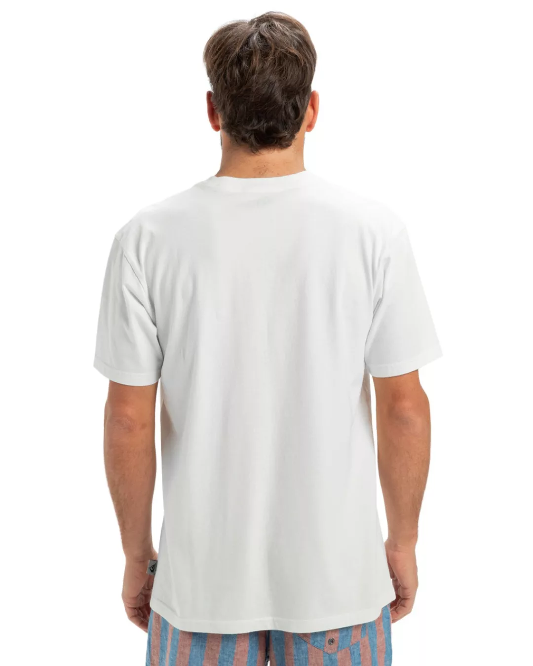 Quiksilver T-Shirt "Salt Water" günstig online kaufen