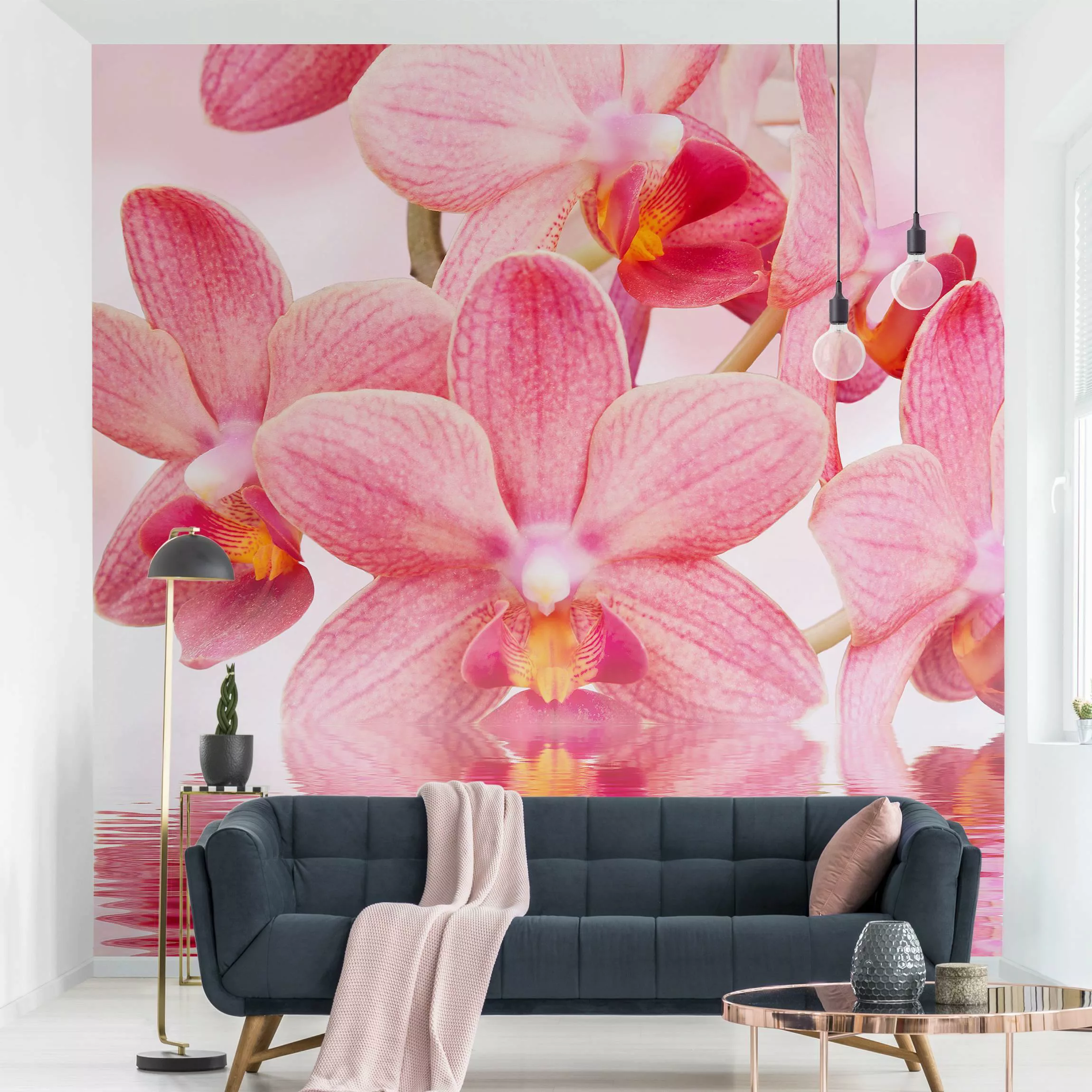 Fototapete Rosa Orchideen auf Wasser günstig online kaufen