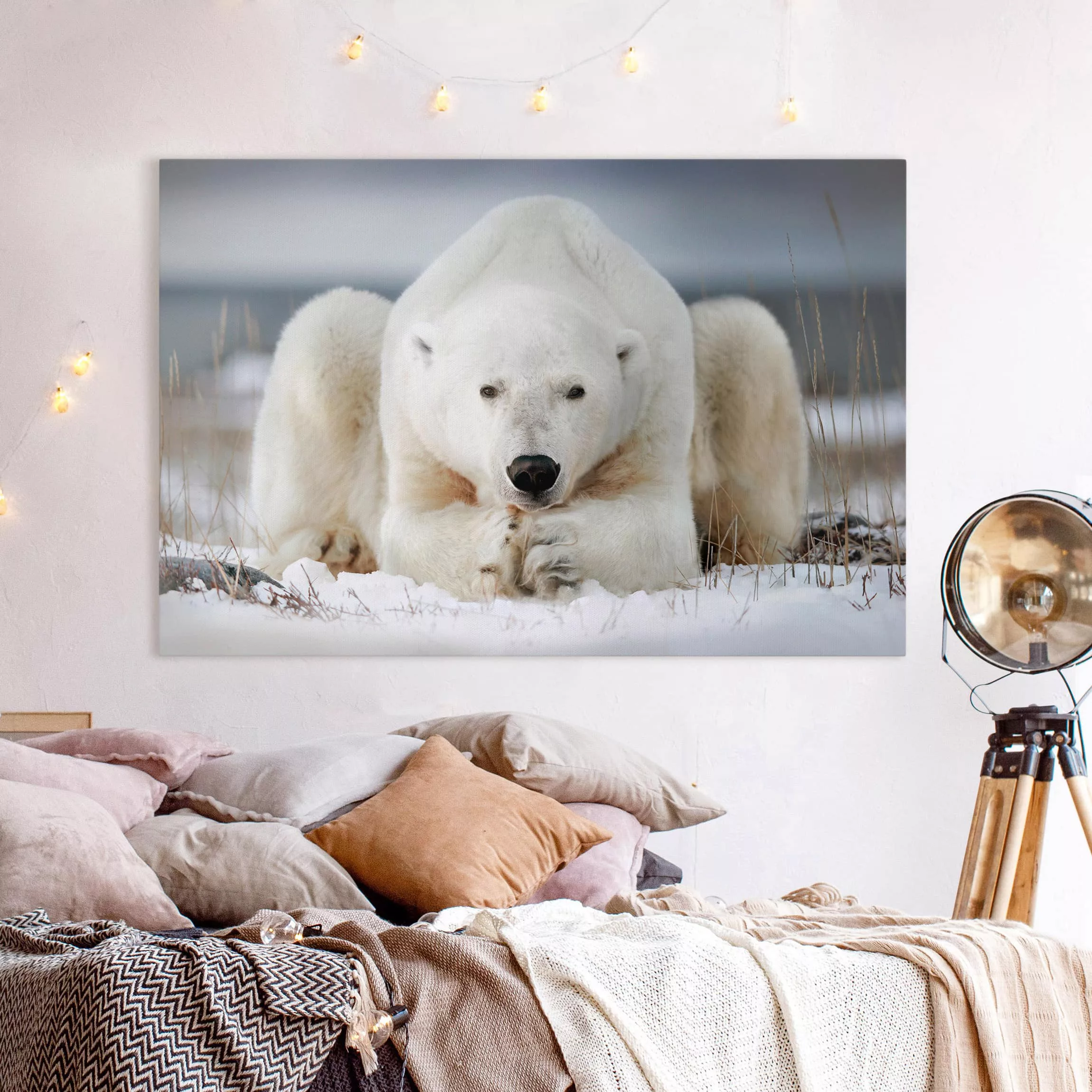 Leinwandbild Tiere - Querformat Nachdenklicher Eisbär günstig online kaufen