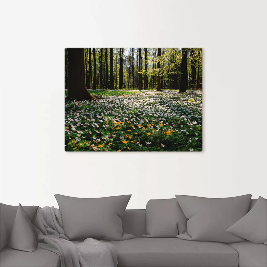 Artland Wandbild "Frühlingswald bedeckt mit Windröschen", Wald, (1 St.), al günstig online kaufen