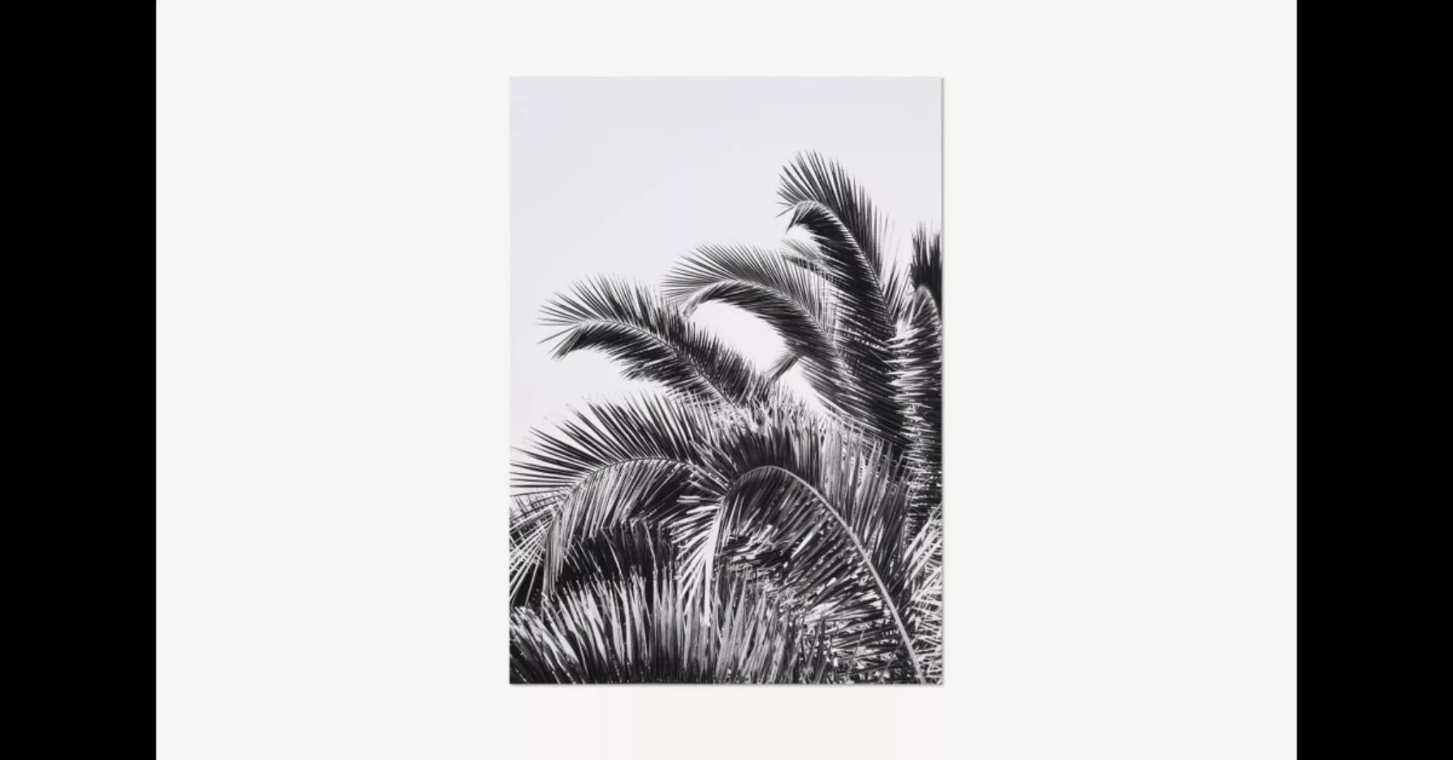 David & David Studio Palm Leaves Kunstdruck von Laurence David (50 x 70 cm) günstig online kaufen