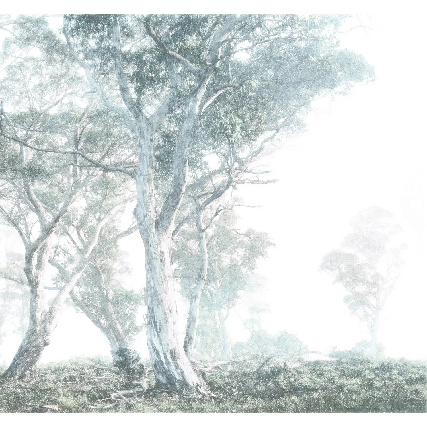 Komar Fototapete Vlies Magic Trees  300 x 280 cm günstig online kaufen