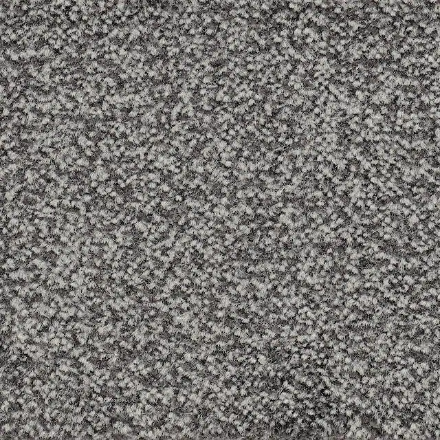 Bodenmeister Teppichboden »Juno, Velours - meliert, Made in Belgium«, recht günstig online kaufen