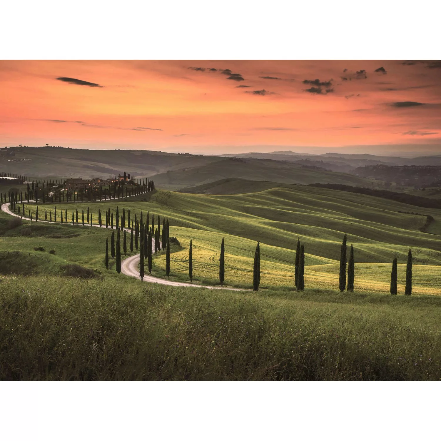 Fototapete Toskana Landschaft Grün Orange  3,50 m x 2,55 m FSC® günstig online kaufen
