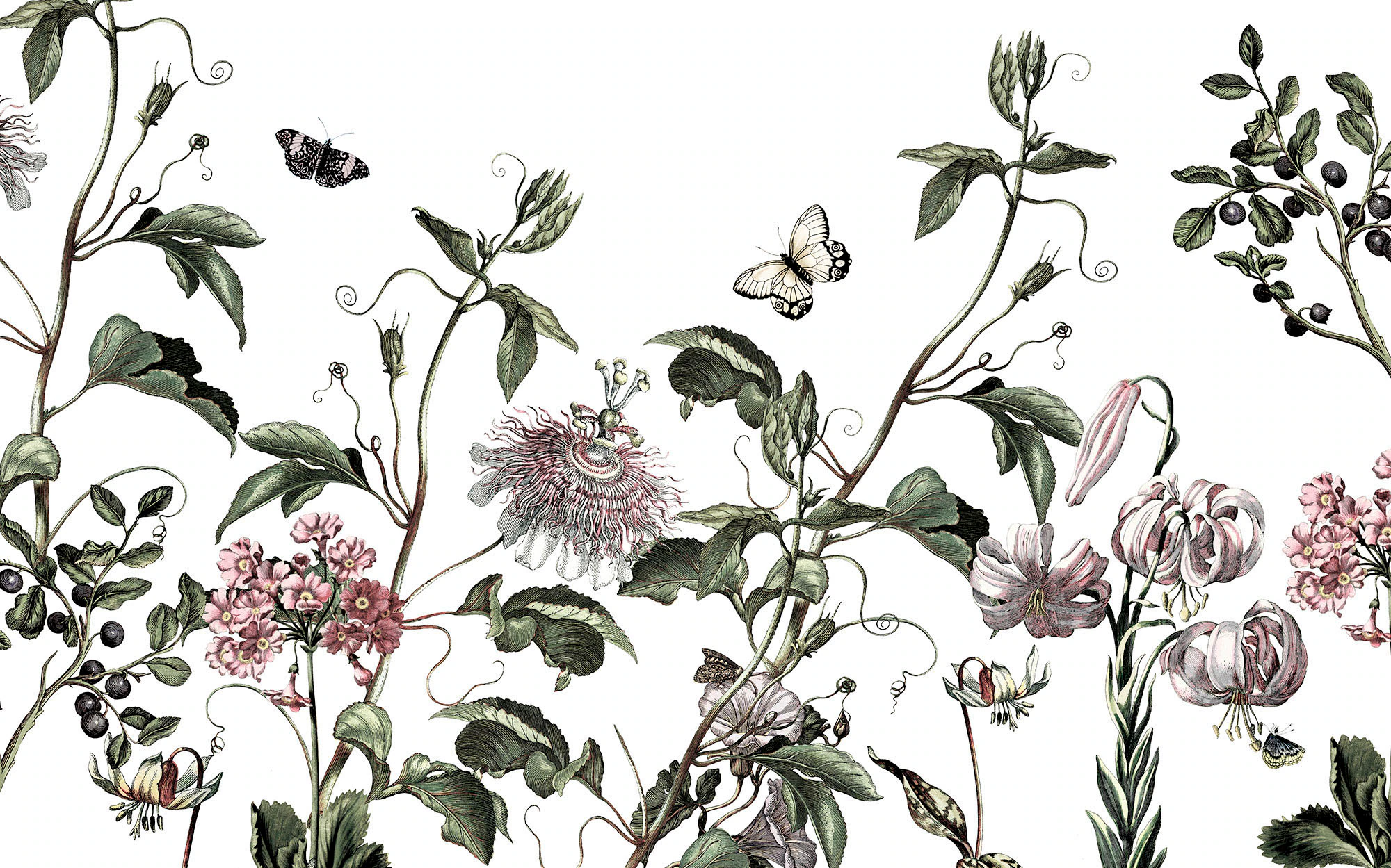 Komar Fototapete »Vlies Fototapete - Paradis de Papillons - Größe 400 x 250 günstig online kaufen