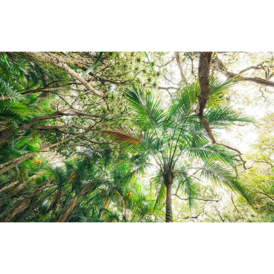 Sanders & Sanders Fototapete Dschungel Grün 450 x 280 cm 612706 günstig online kaufen