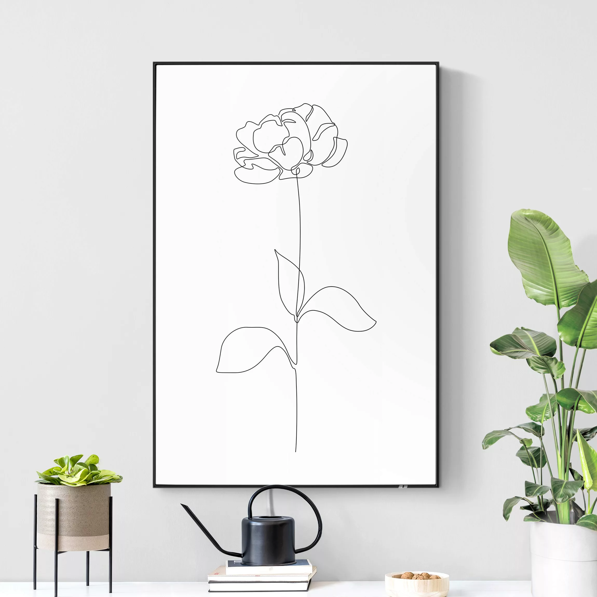 LED-Wechselbild Line Art Blumen - Pfingstrose günstig online kaufen