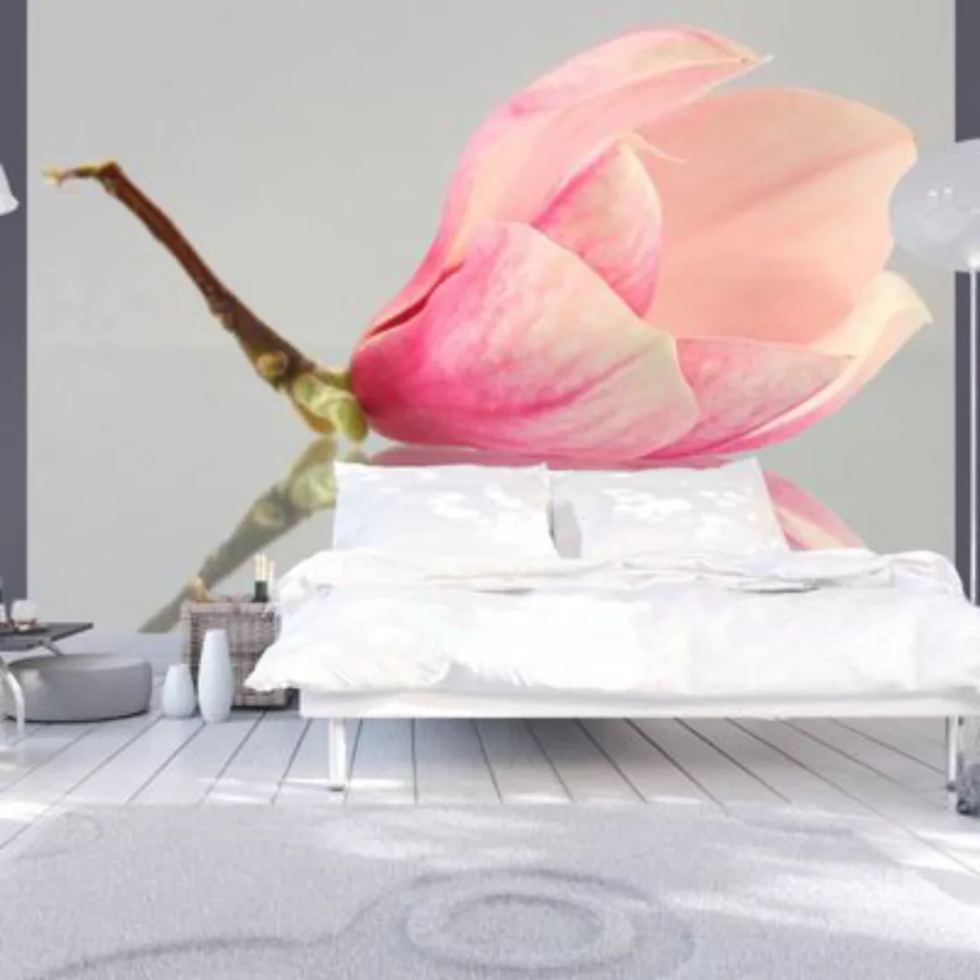 artgeist Fototapete Einsame Magnolienblüte mehrfarbig Gr. 250 x 193 günstig online kaufen