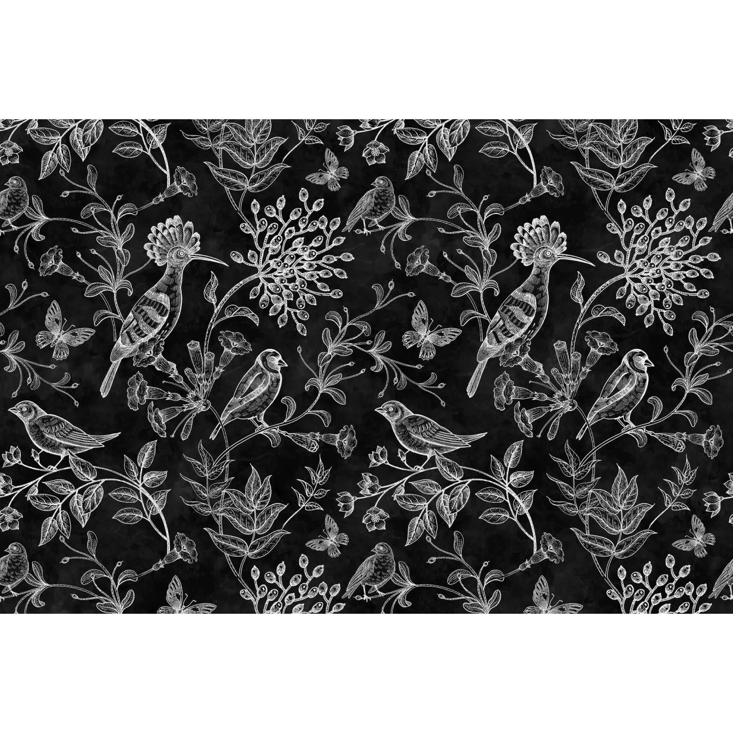 Fototapete Blackboard Blumen Vögel Schwarz Weiß 4,00 m x 2,70 m FSC® günstig online kaufen