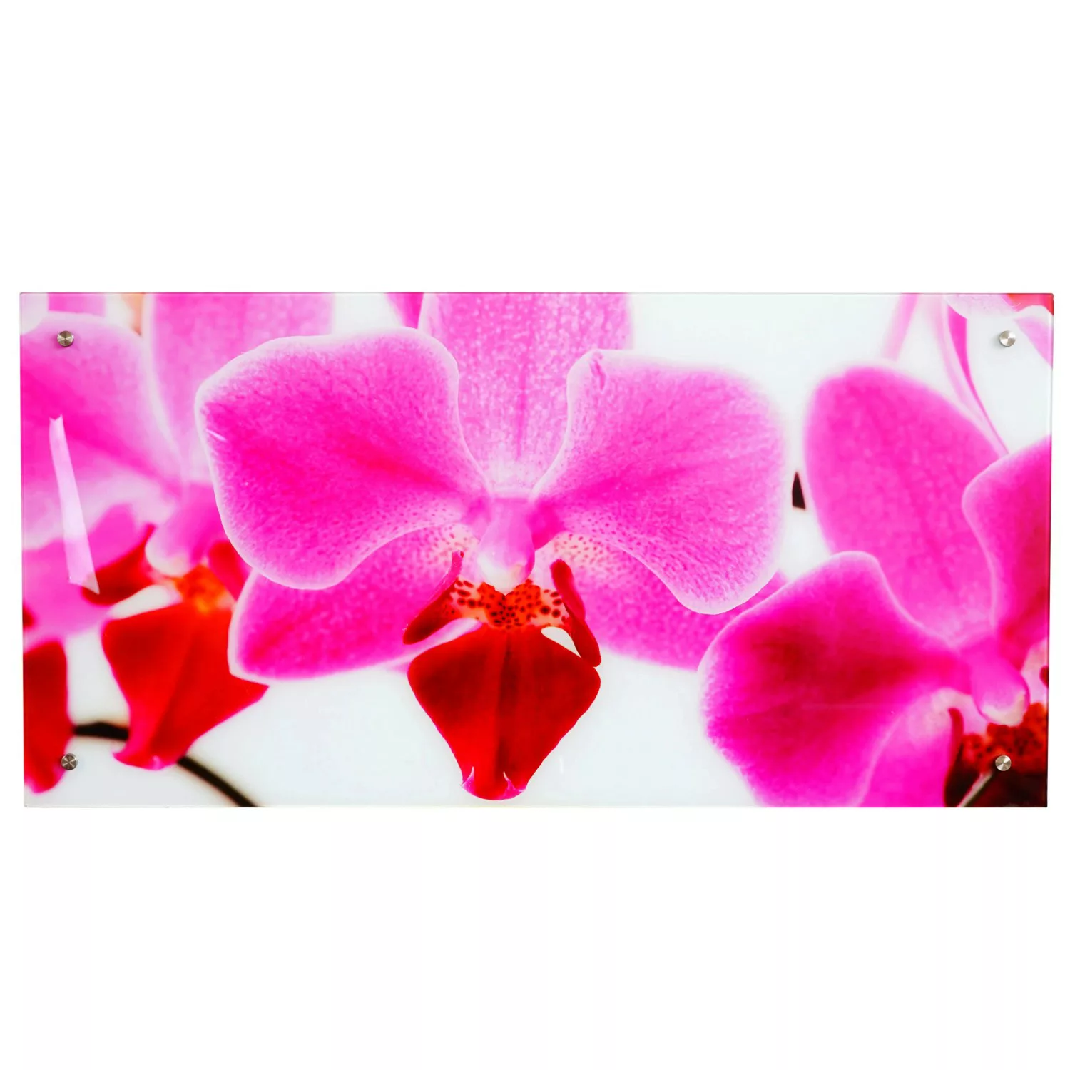 MCW Glasbild T114 50x100cm Orchidee günstig online kaufen