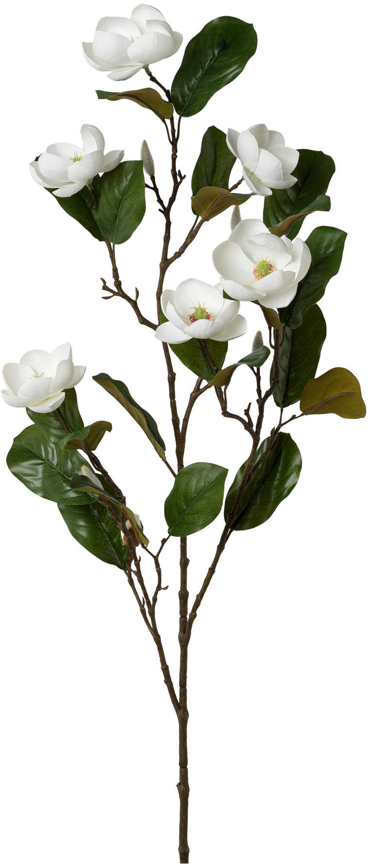 Creativ green Kunstblume "Magnolienzweig", mit zauberhaften Blüten günstig online kaufen