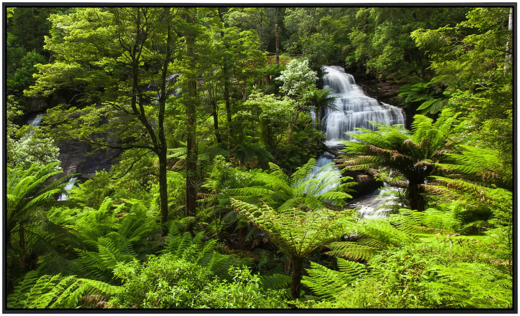 Papermoon Infrarotheizung »Regenwald« günstig online kaufen