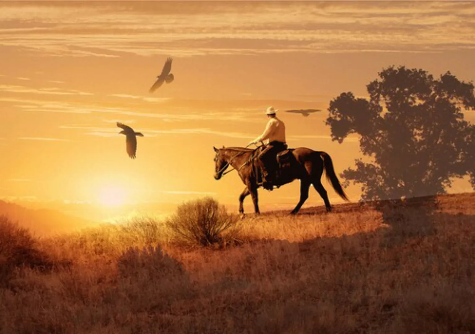 Papermoon Fototapete »Cowboy« günstig online kaufen