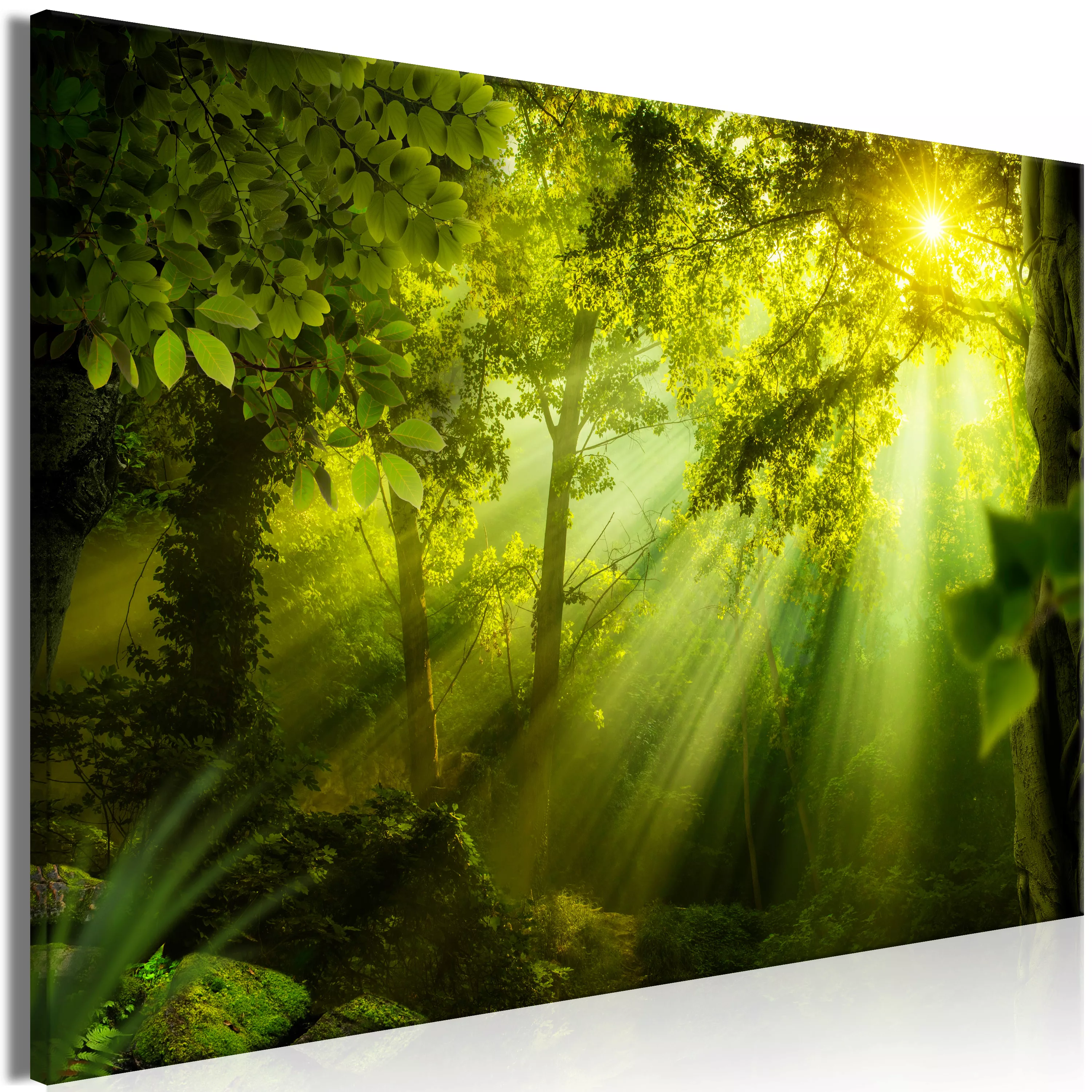 Wandbild - In The Sunshine (1 Part) Wide günstig online kaufen