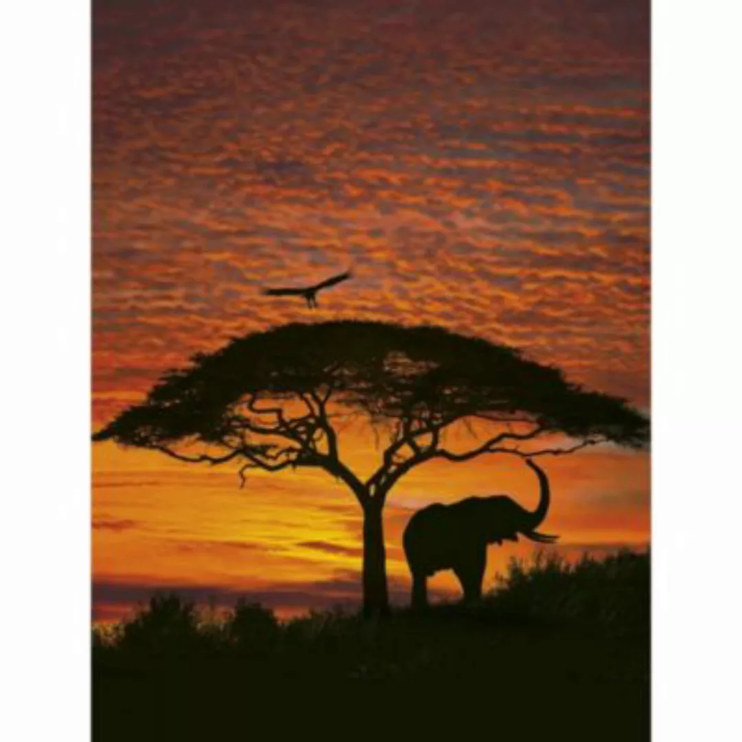 KOMAR Papier Fototapete - African Sunset - Größe 194 x 270 cm mehrfarbig günstig online kaufen