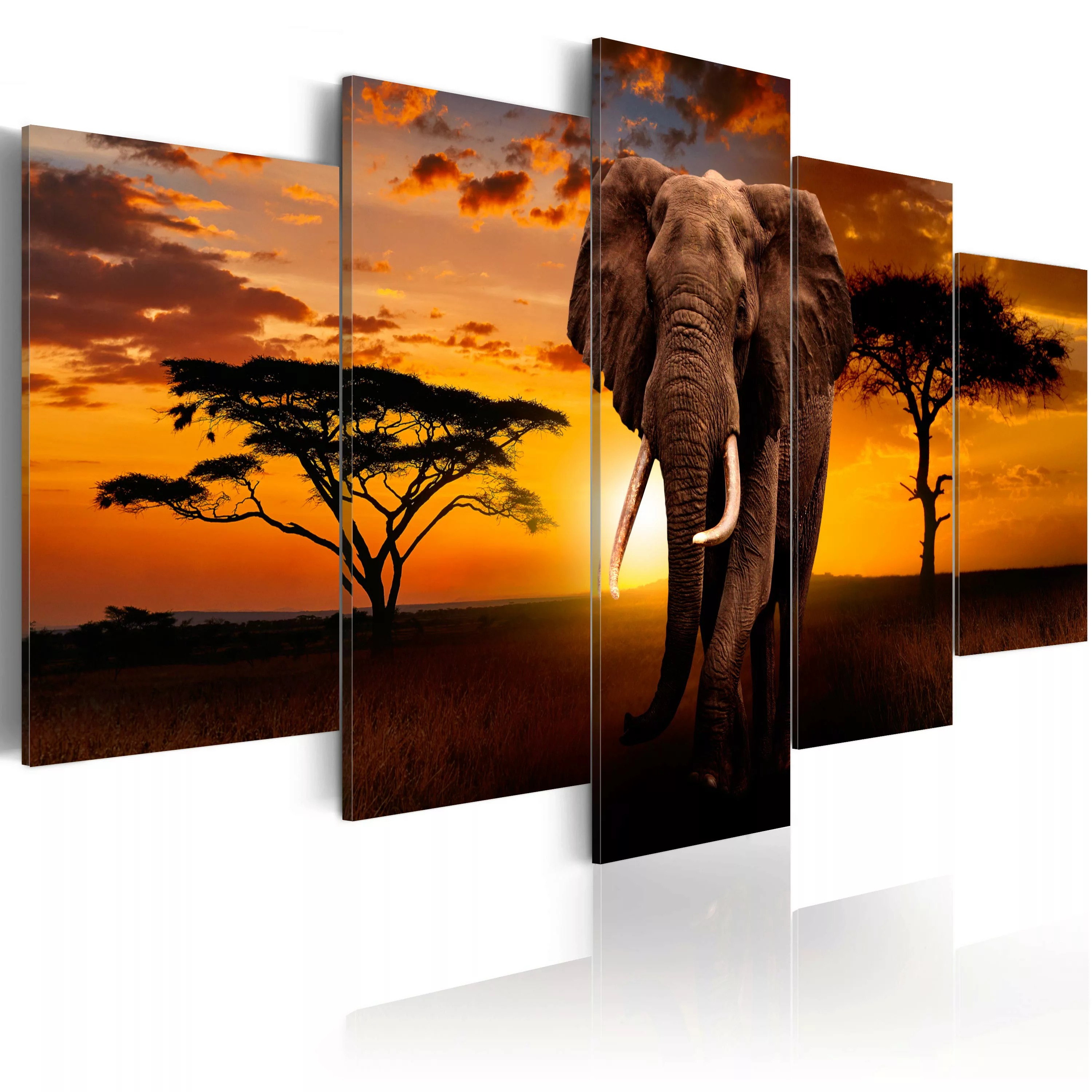 Wandbild - The Savannah King günstig online kaufen