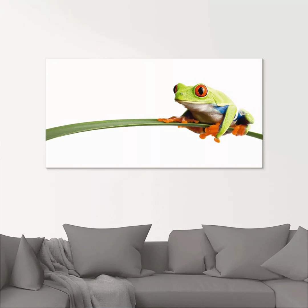 Artland Glasbild "Frosch auf einem Blatt", Wassertiere, (1 St.), in verschi günstig online kaufen