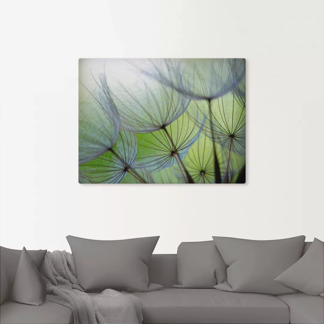 Artland Wandbild »Pusteblumen-Samen II«, Blumen, (1 St.), als Leinwandbild, günstig online kaufen