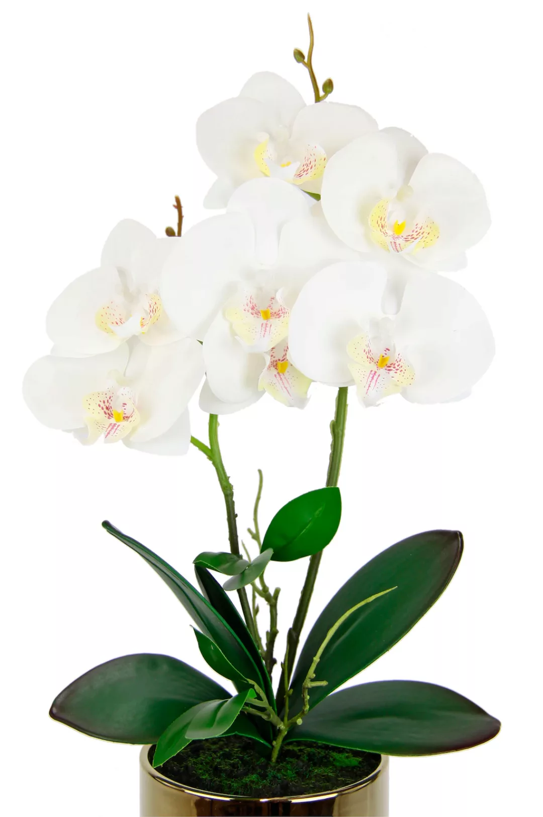 I.GE.A. Kunstblume "Orchidee" günstig online kaufen