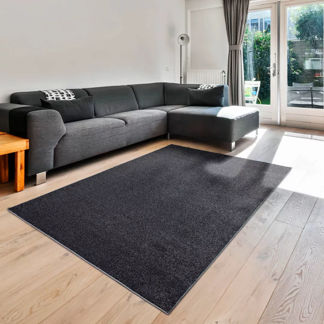 my home Teppich »»Pieter««, rechteckig günstig online kaufen