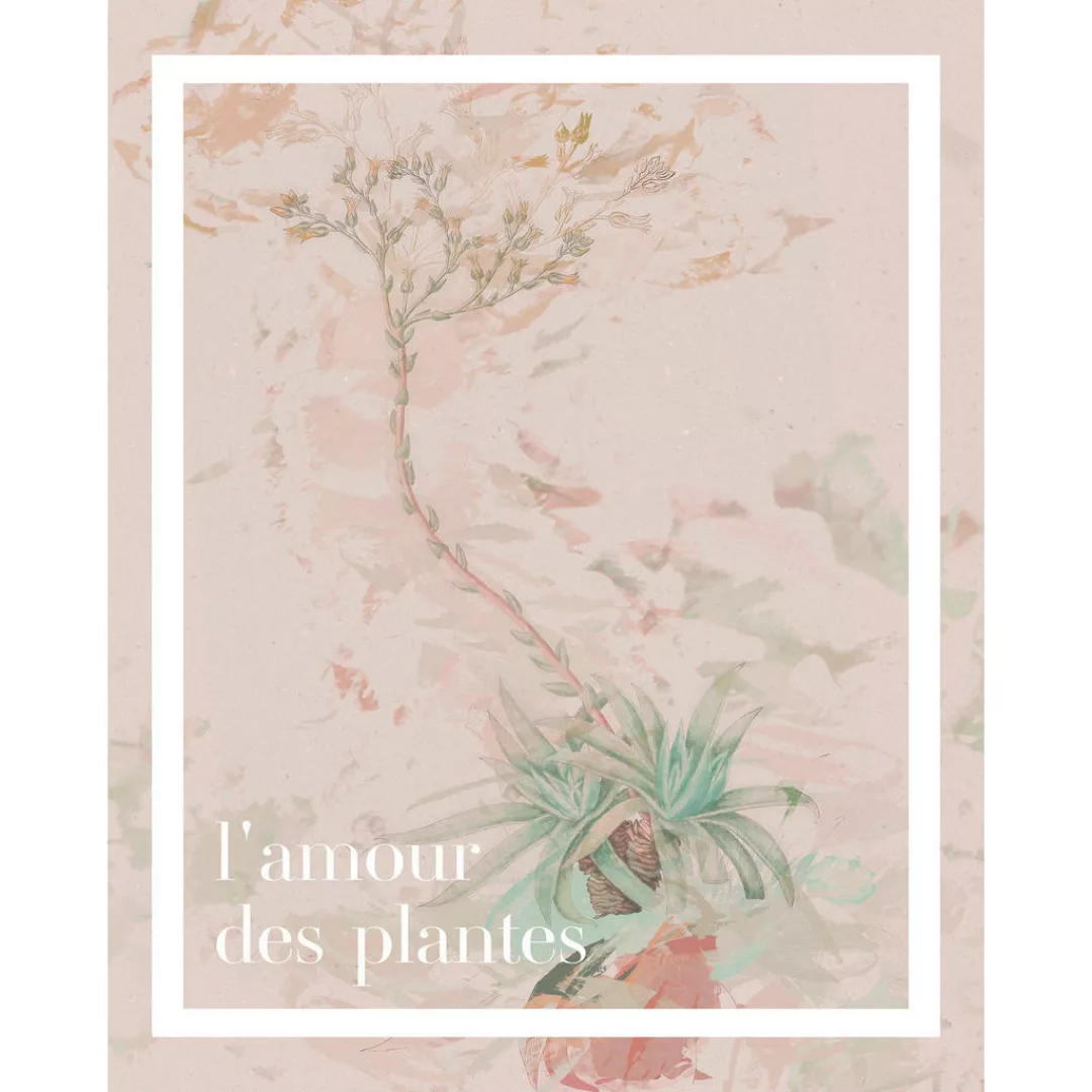 Komar Poster L'amour des plantes Spruch B/L: ca. 40x50 cm günstig online kaufen