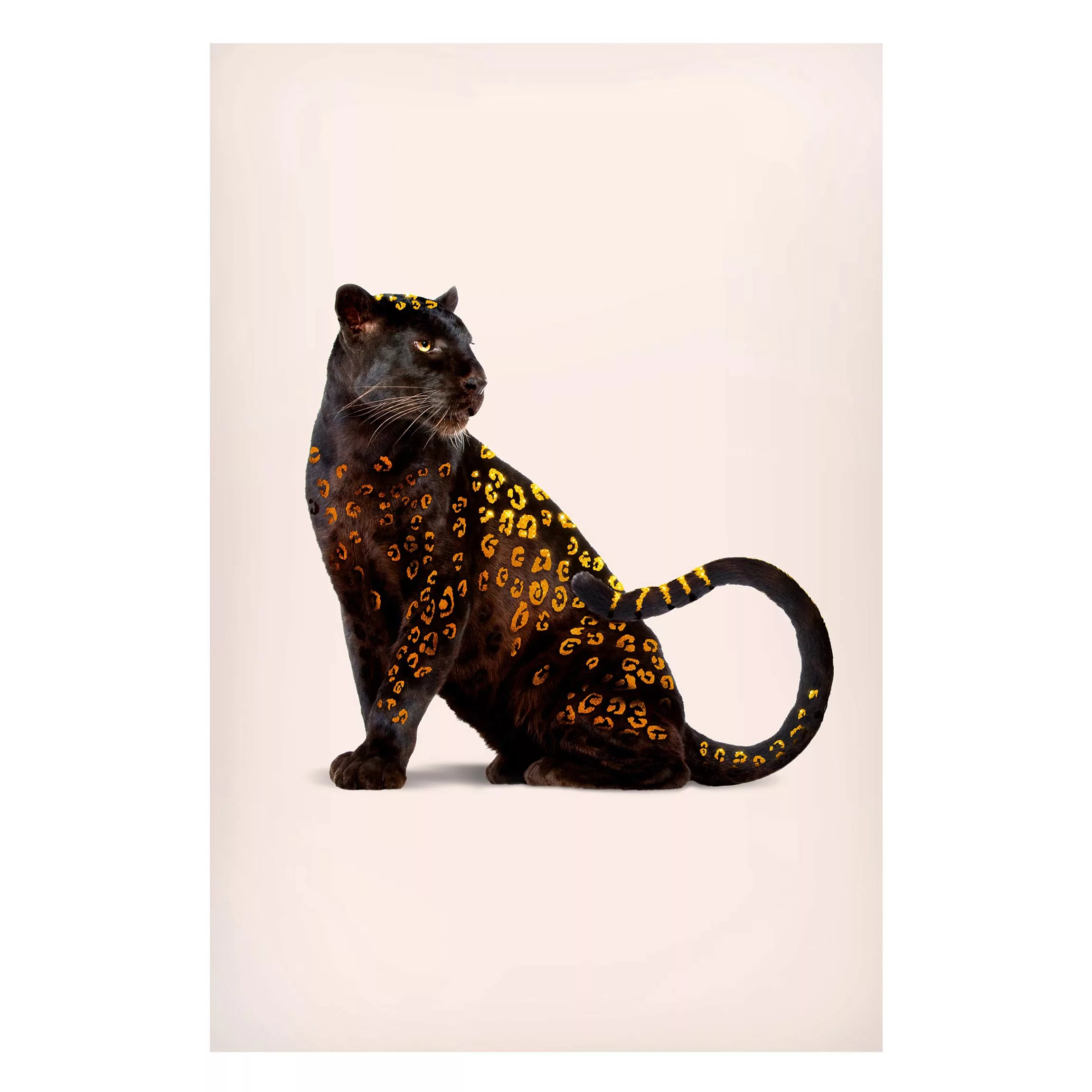 Magnettafel Tiere - Hochformat 2:3 Goldener Panther günstig online kaufen