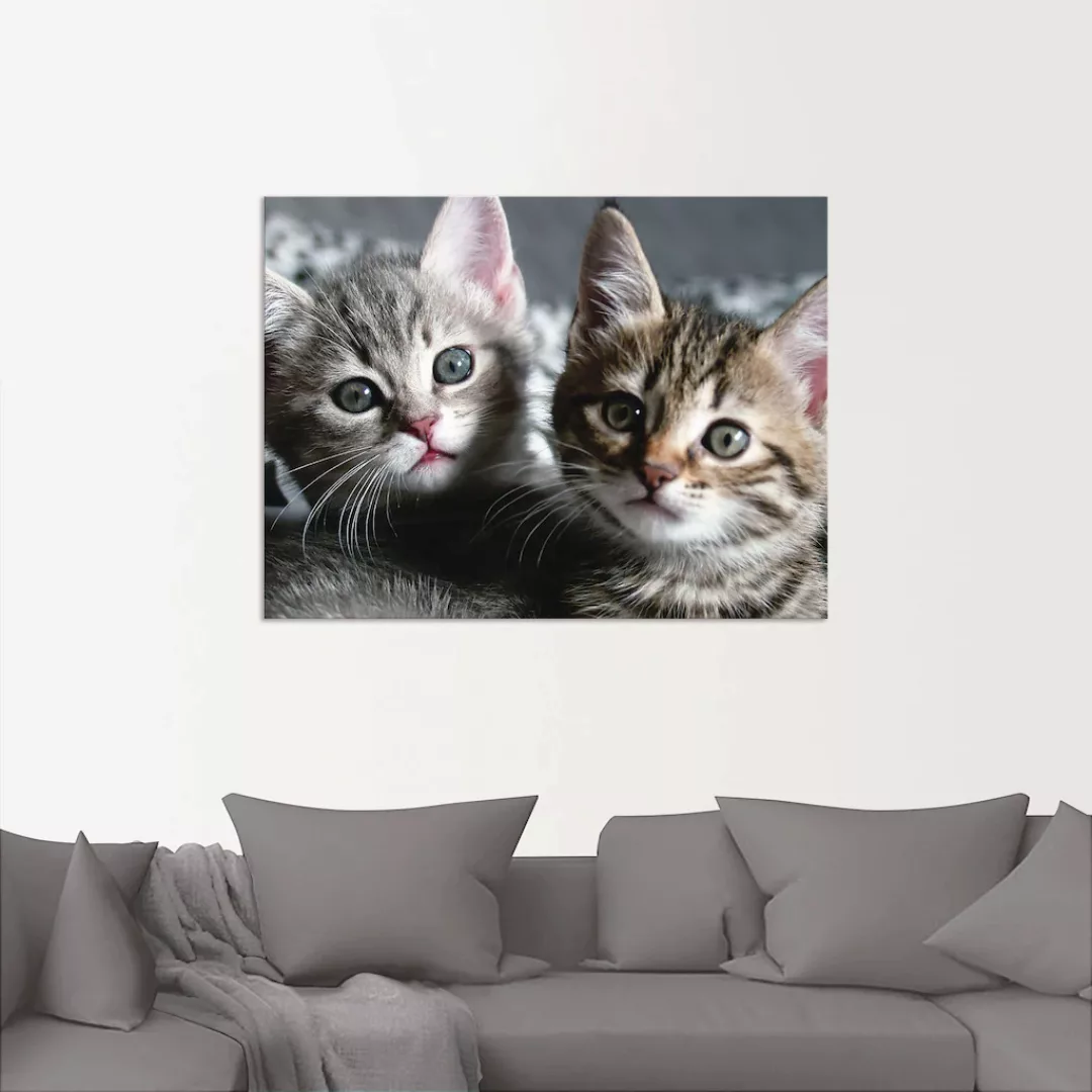 Artland Wandbild "Katze", Haustiere, (1 St.), als Alubild, Outdoorbild, Lei günstig online kaufen