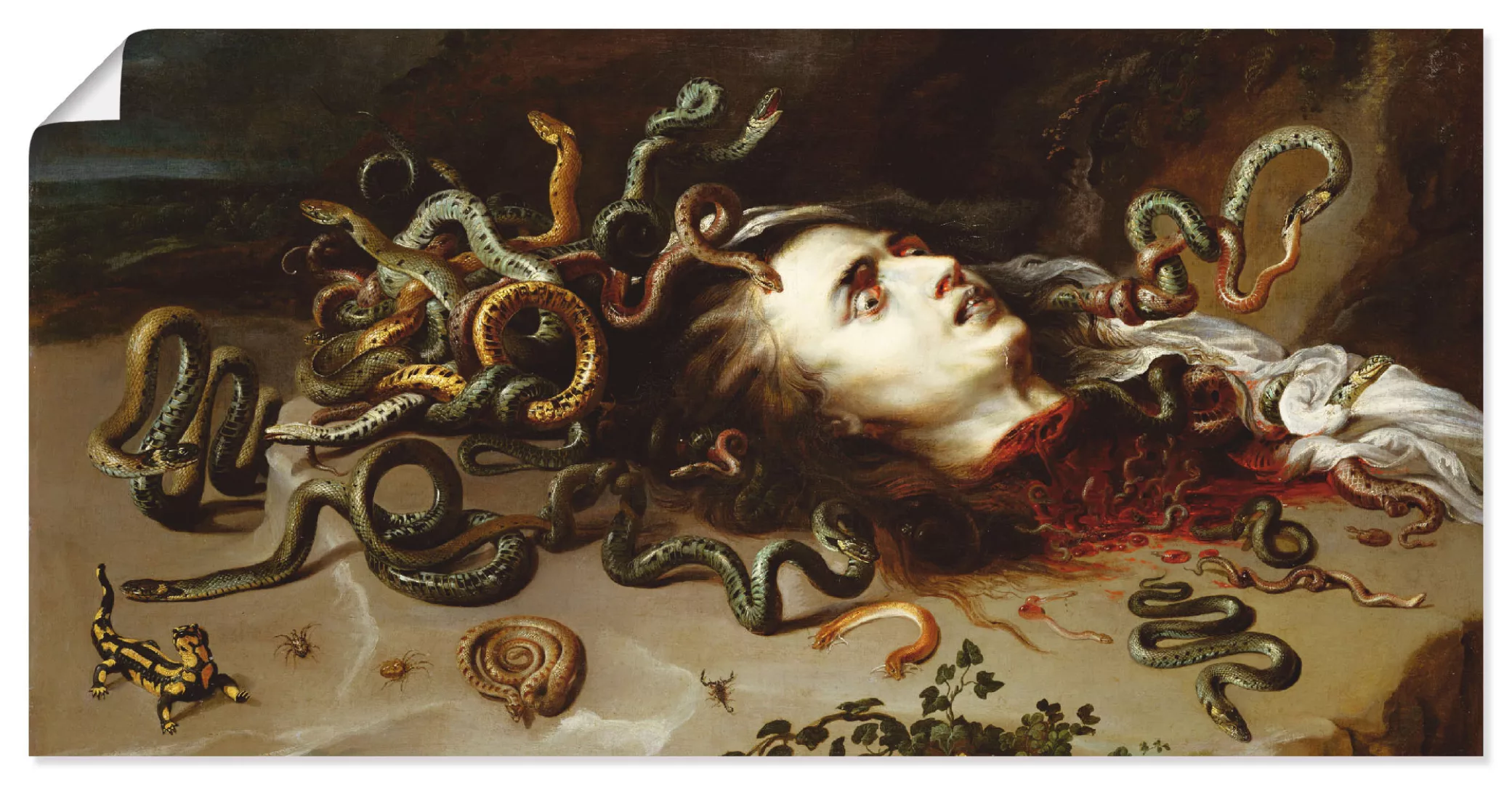 Artland Wandbild "Das Haupt der Medusa", klassische Fantasie, (1 St.) günstig online kaufen